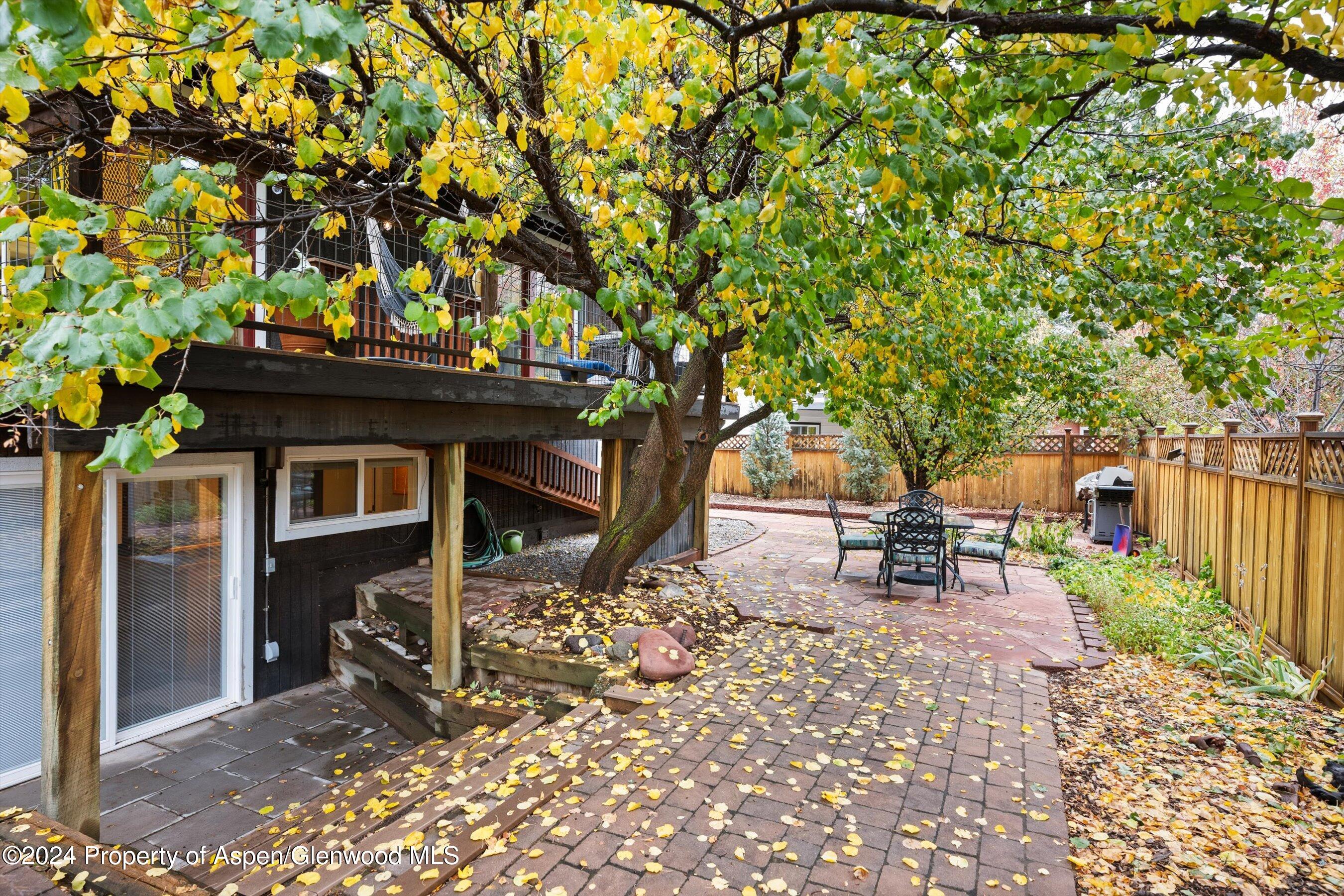 19 Clearwater Road Carbondale CO 81623