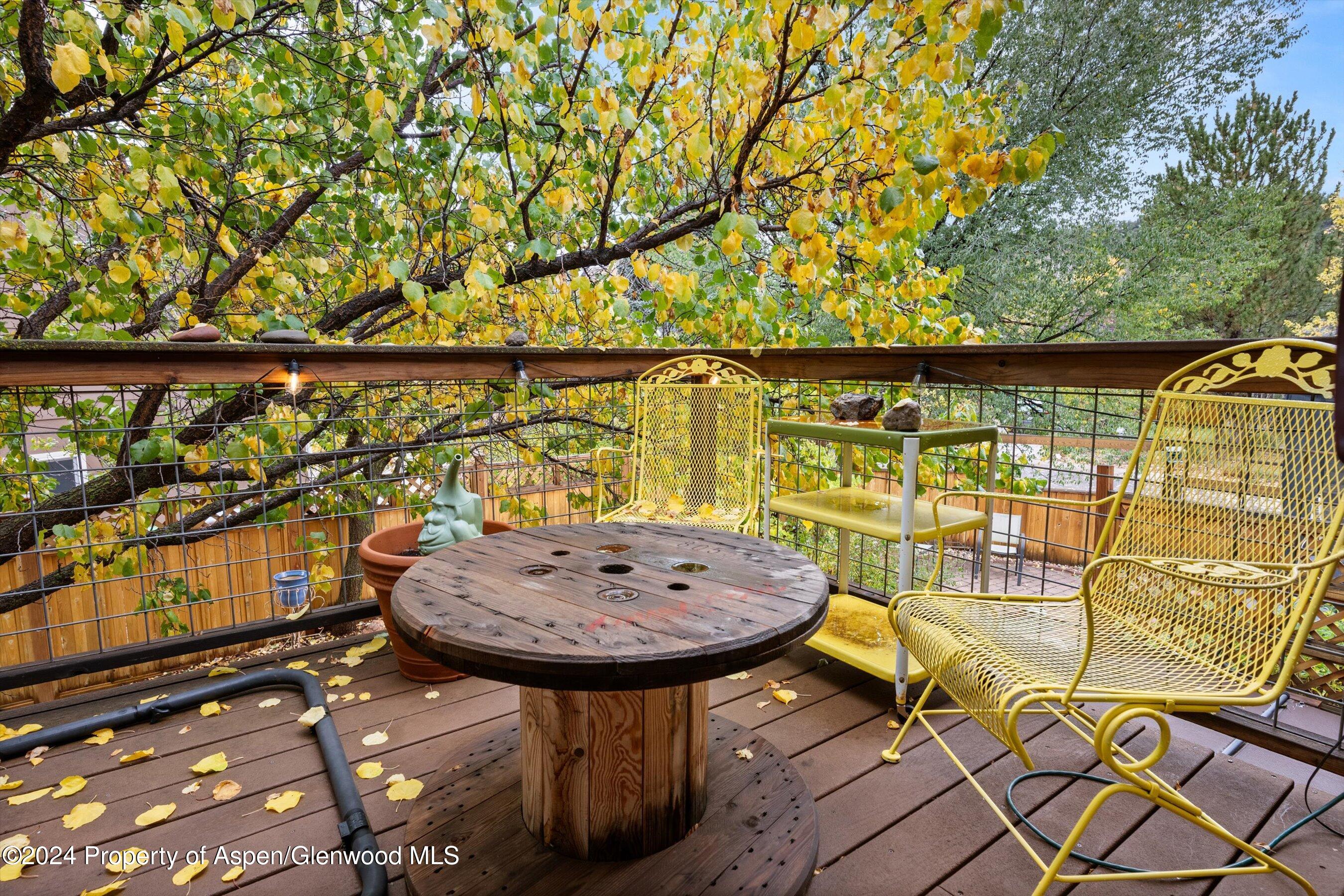 19 Clearwater Road Carbondale CO 81623