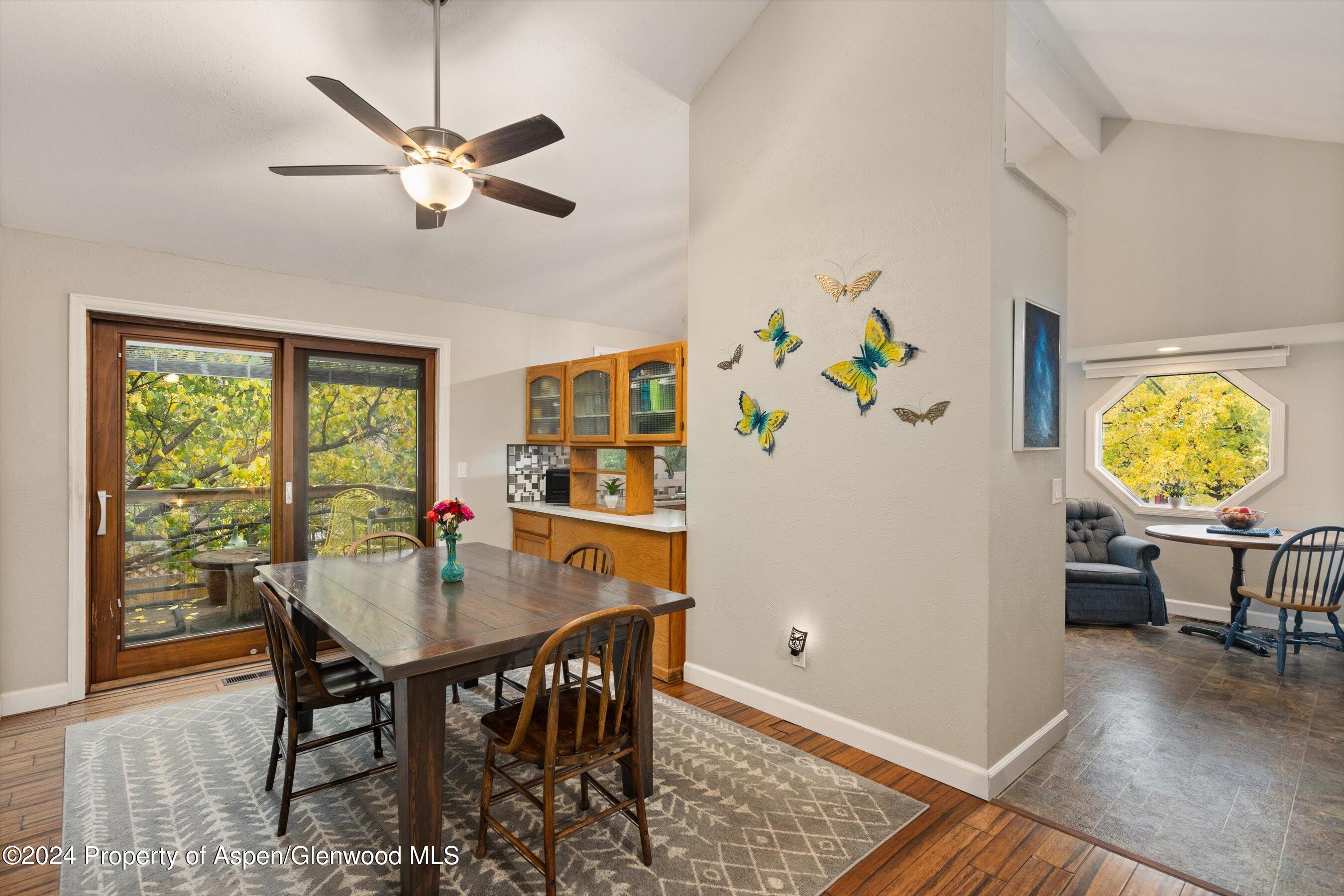 19 Clearwater Road Carbondale CO 81623