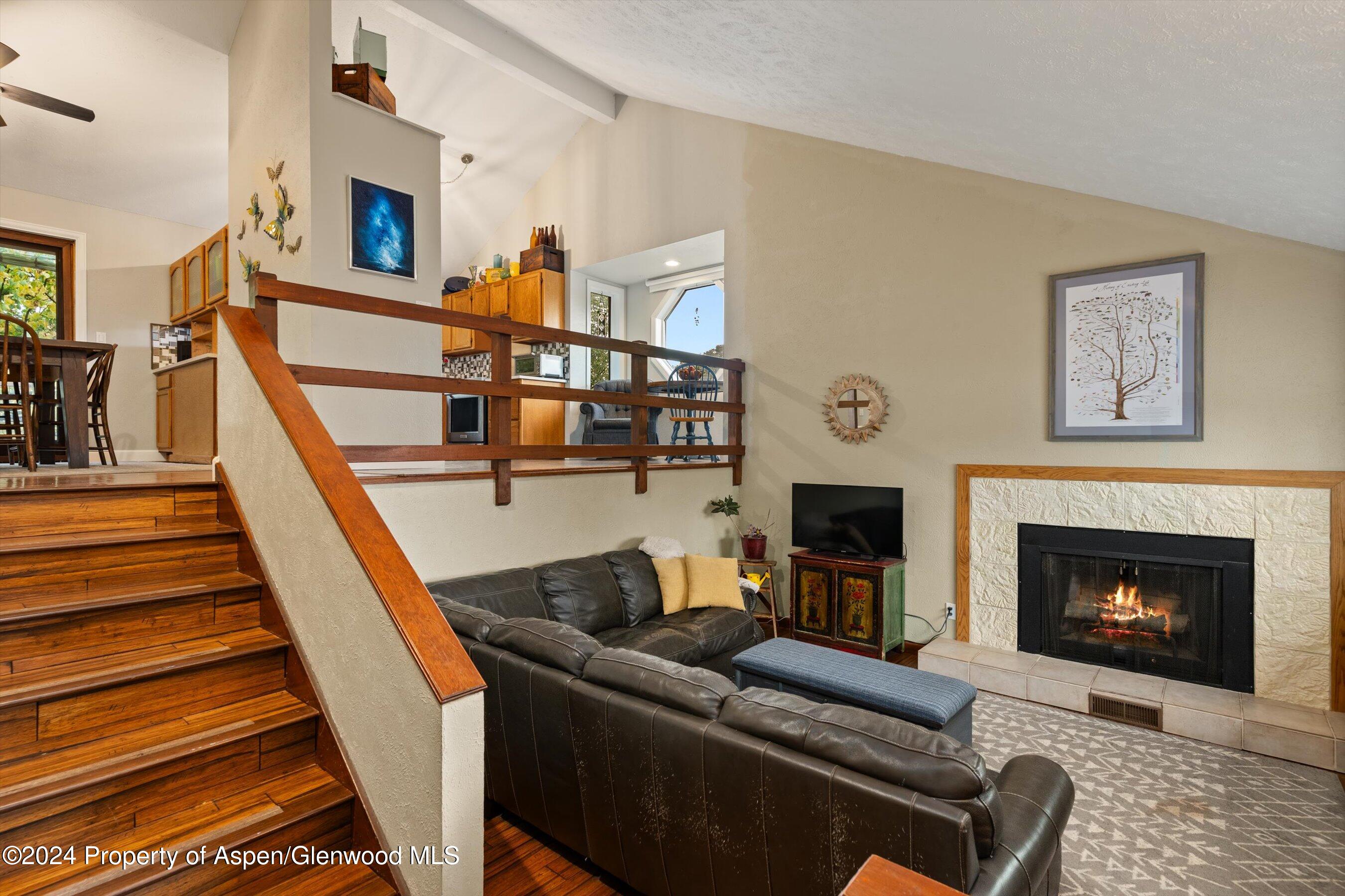 19 Clearwater Road Carbondale CO 81623