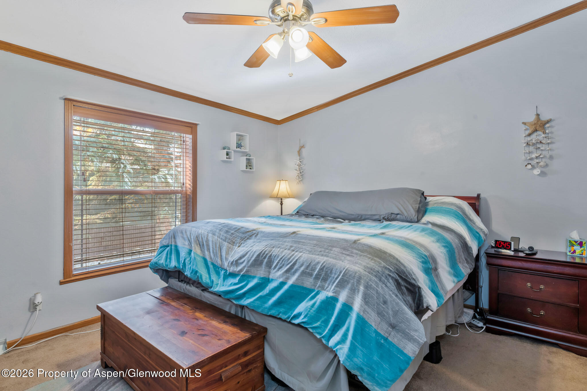 366 S 2nd Street Hayden CO 81639