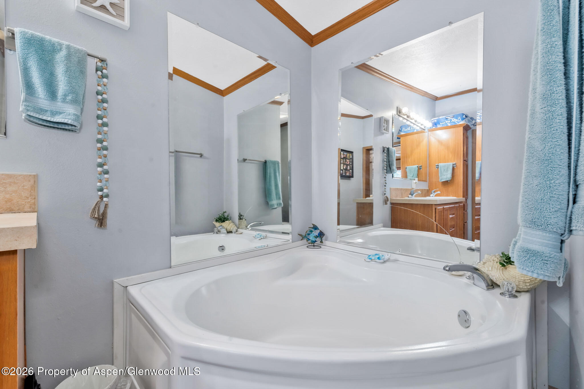 366 S 2nd Street Hayden CO 81639