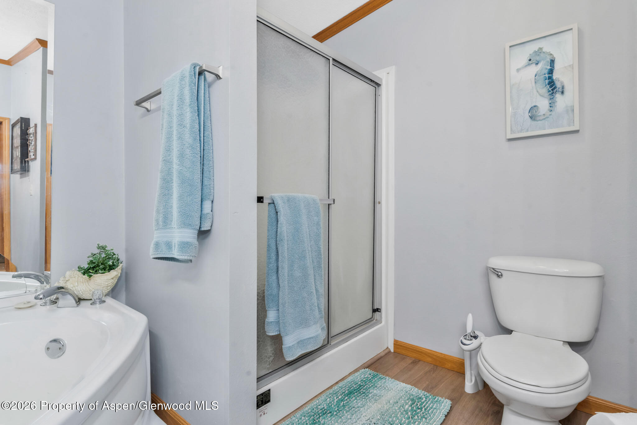 366 S 2nd Street Hayden CO 81639