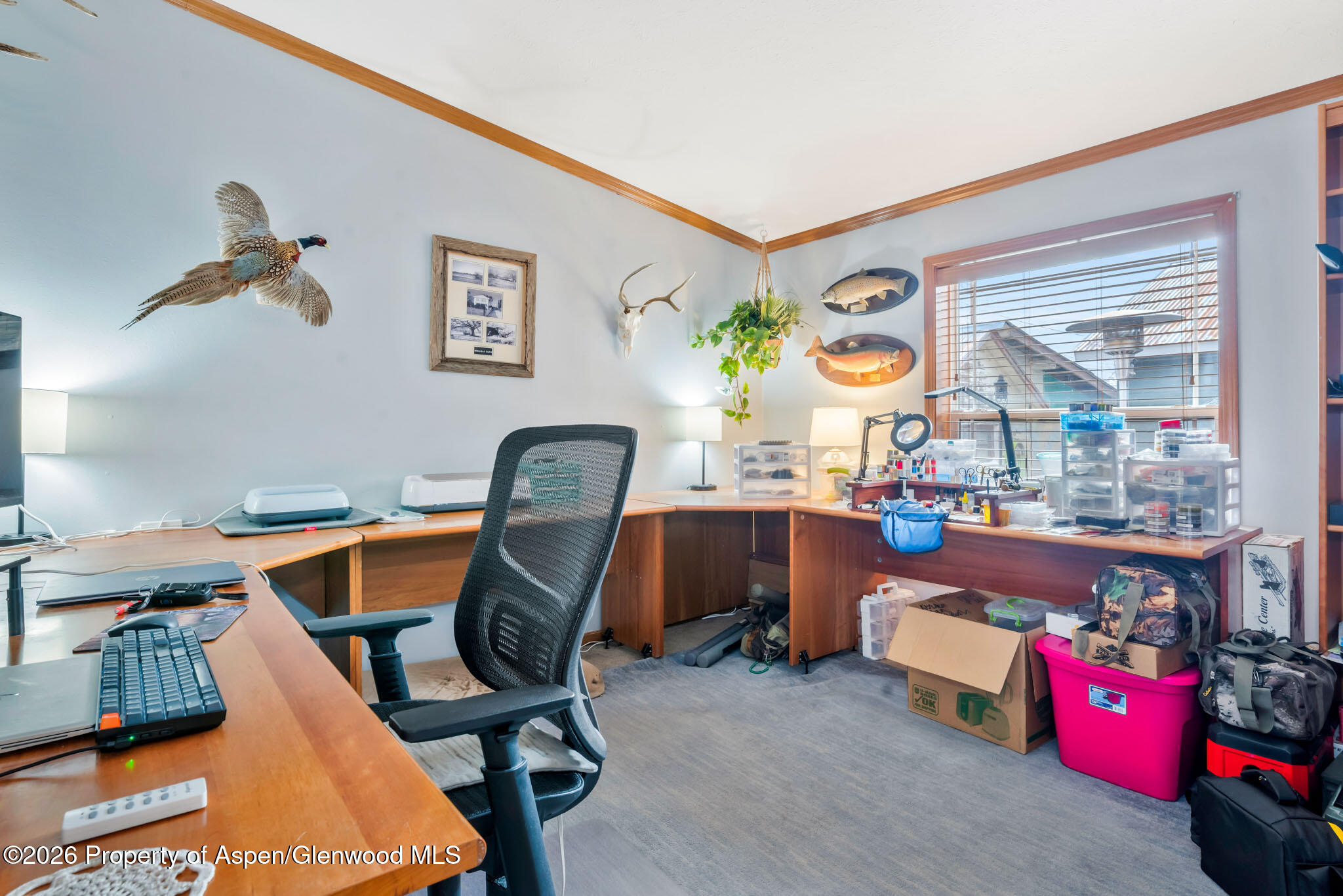 366 S 2nd Street Hayden CO 81639