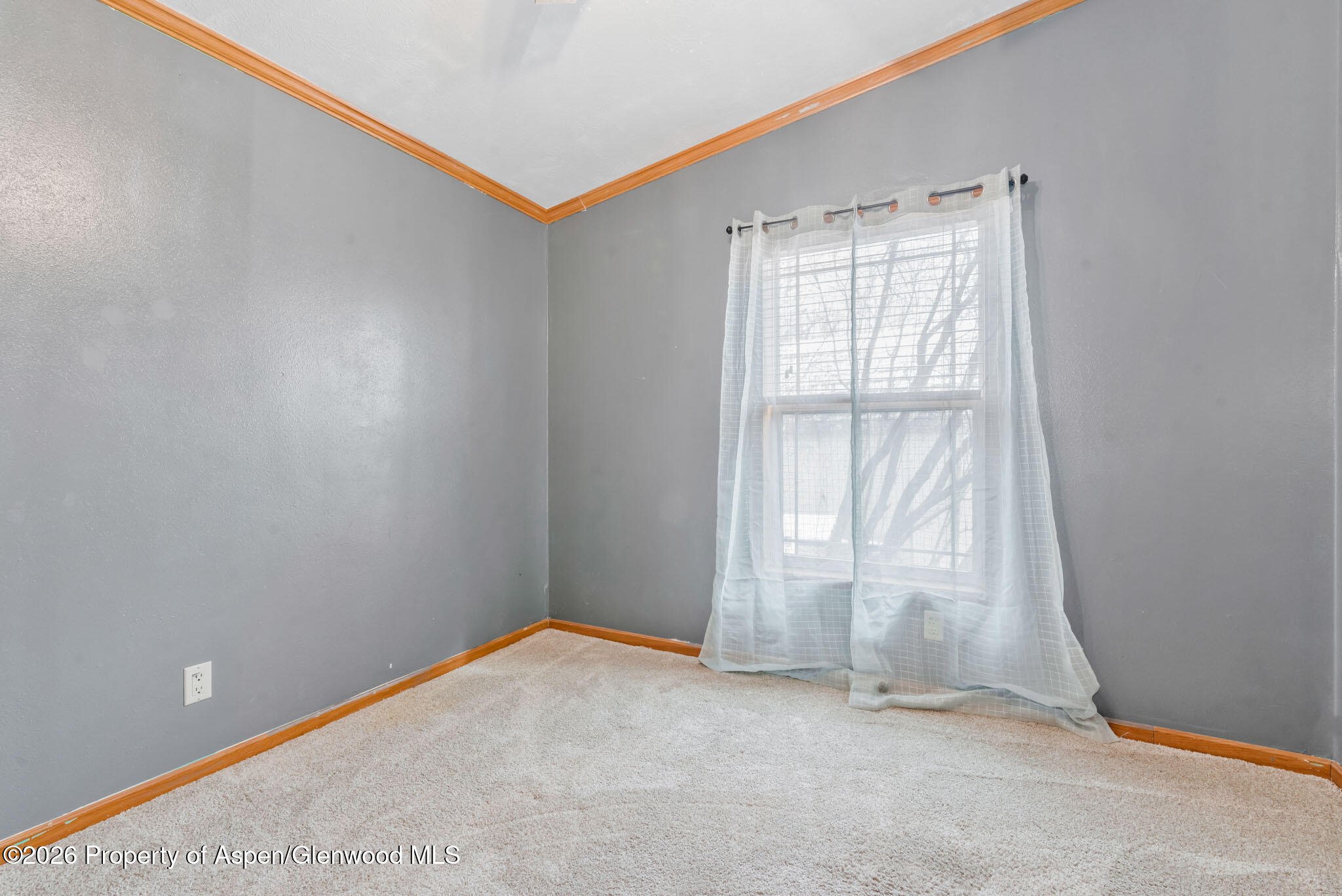 366 S 2nd Street Hayden CO 81639