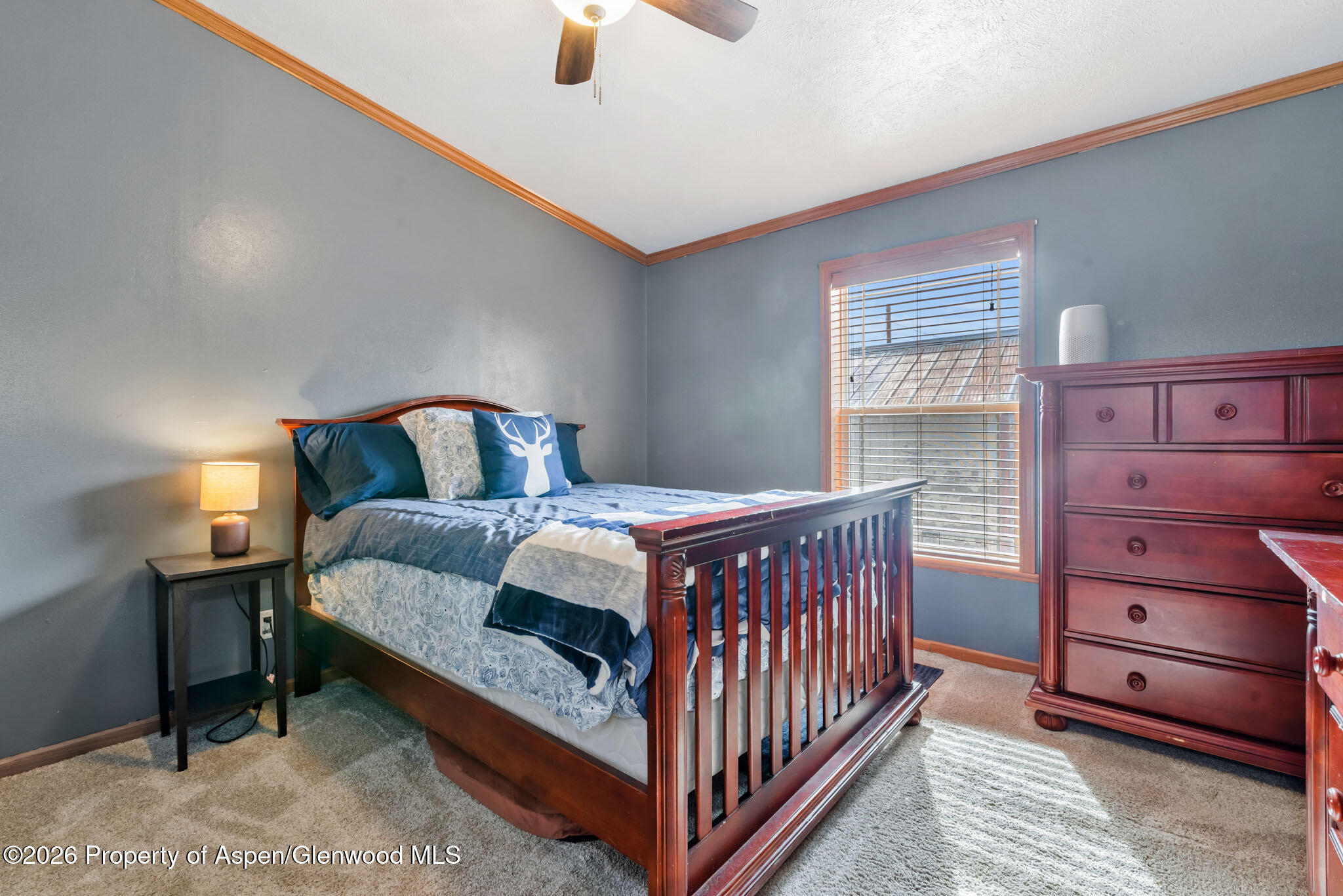 366 S 2nd Street Hayden CO 81639