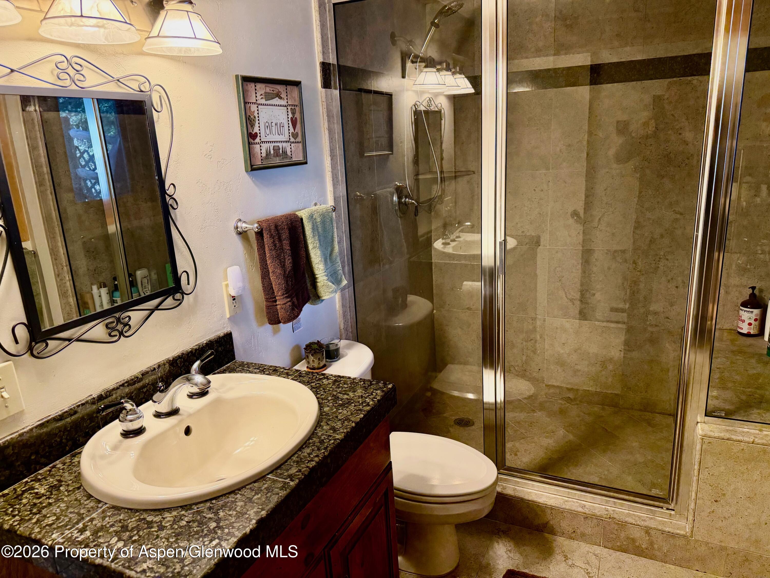 357 Elk Mountain Drive Redstone CO 81623