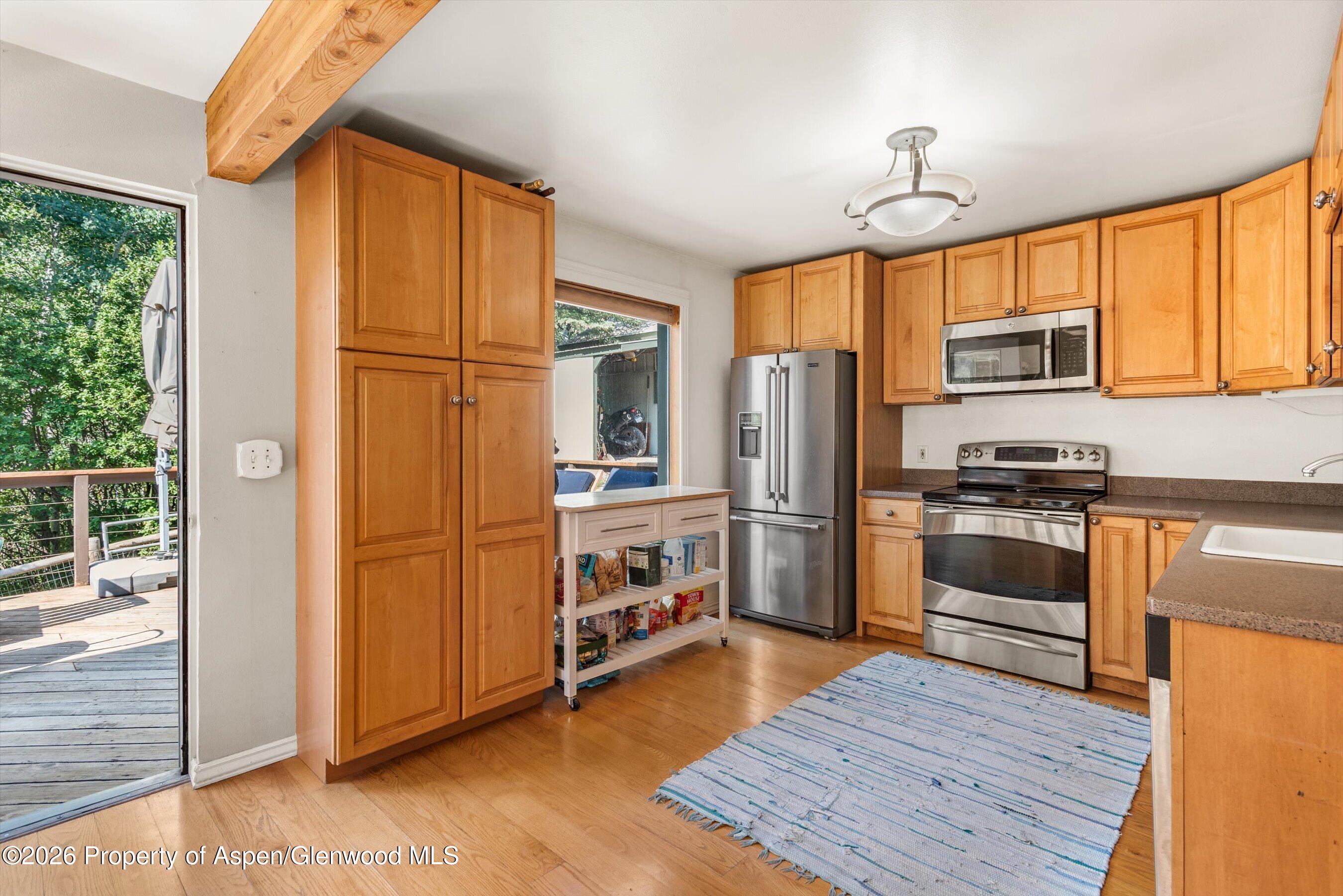 357 Elk Mountain Drive Redstone CO 81623