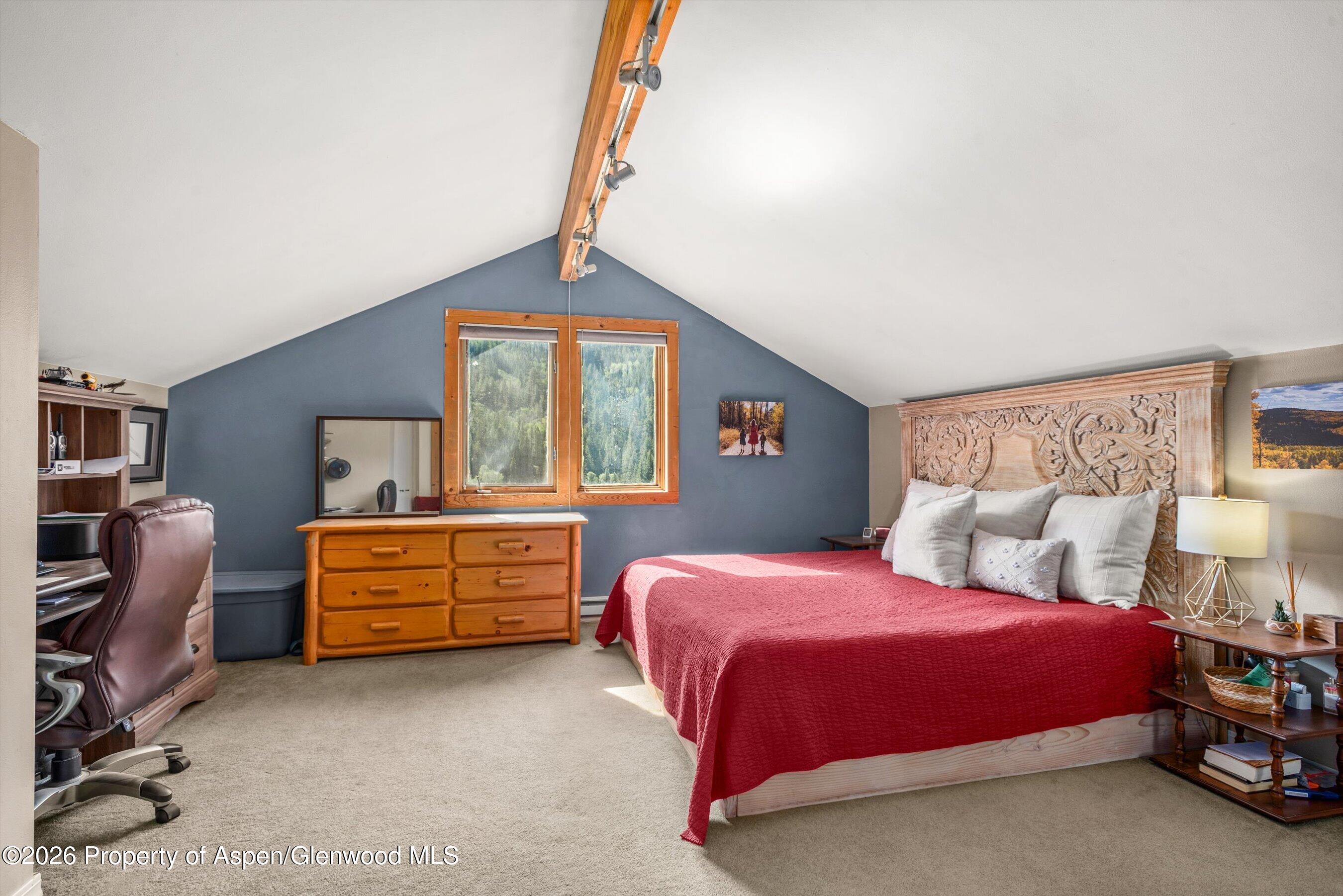 357 Elk Mountain Drive Redstone CO 81623