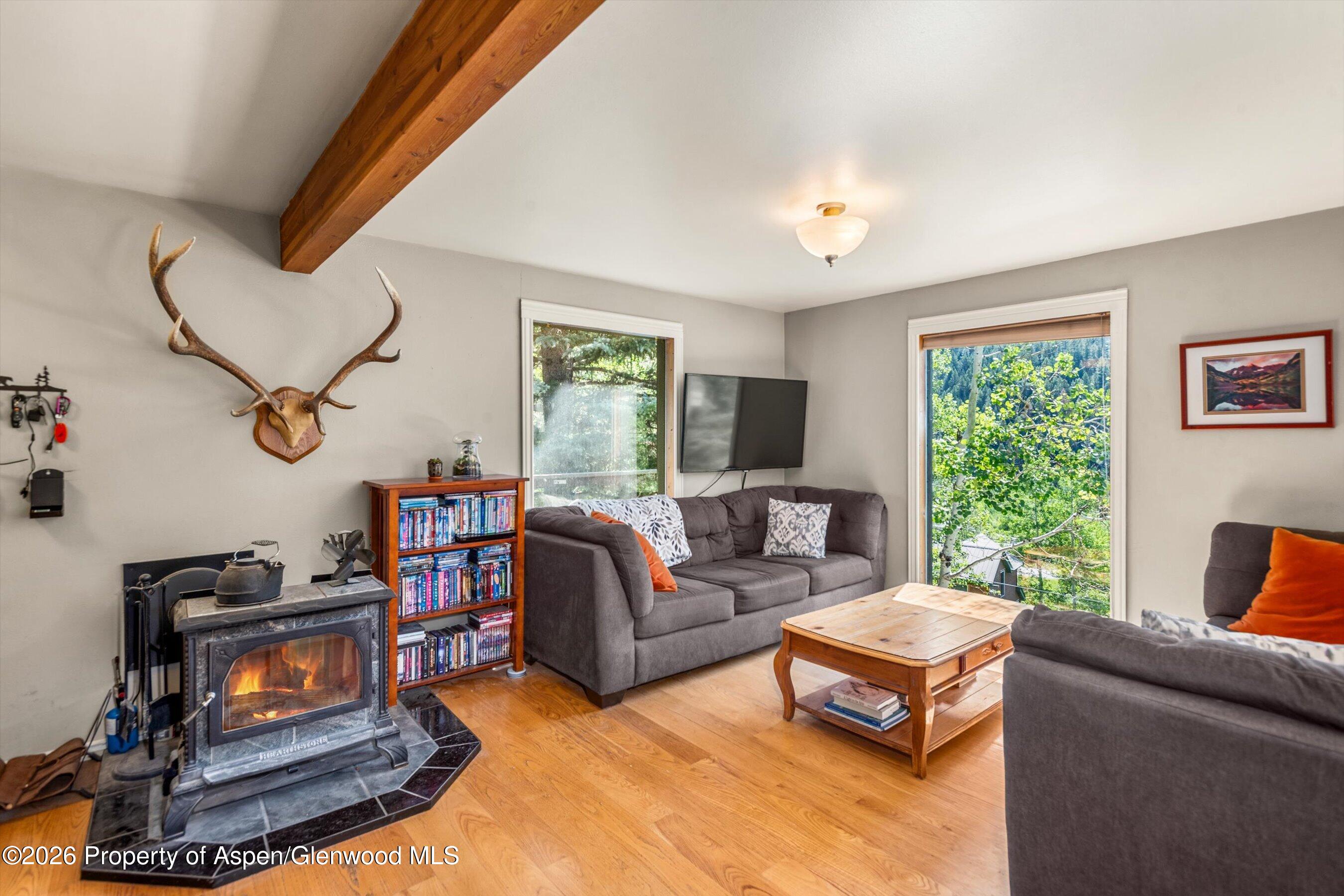 357 Elk Mountain Drive Redstone CO 81623