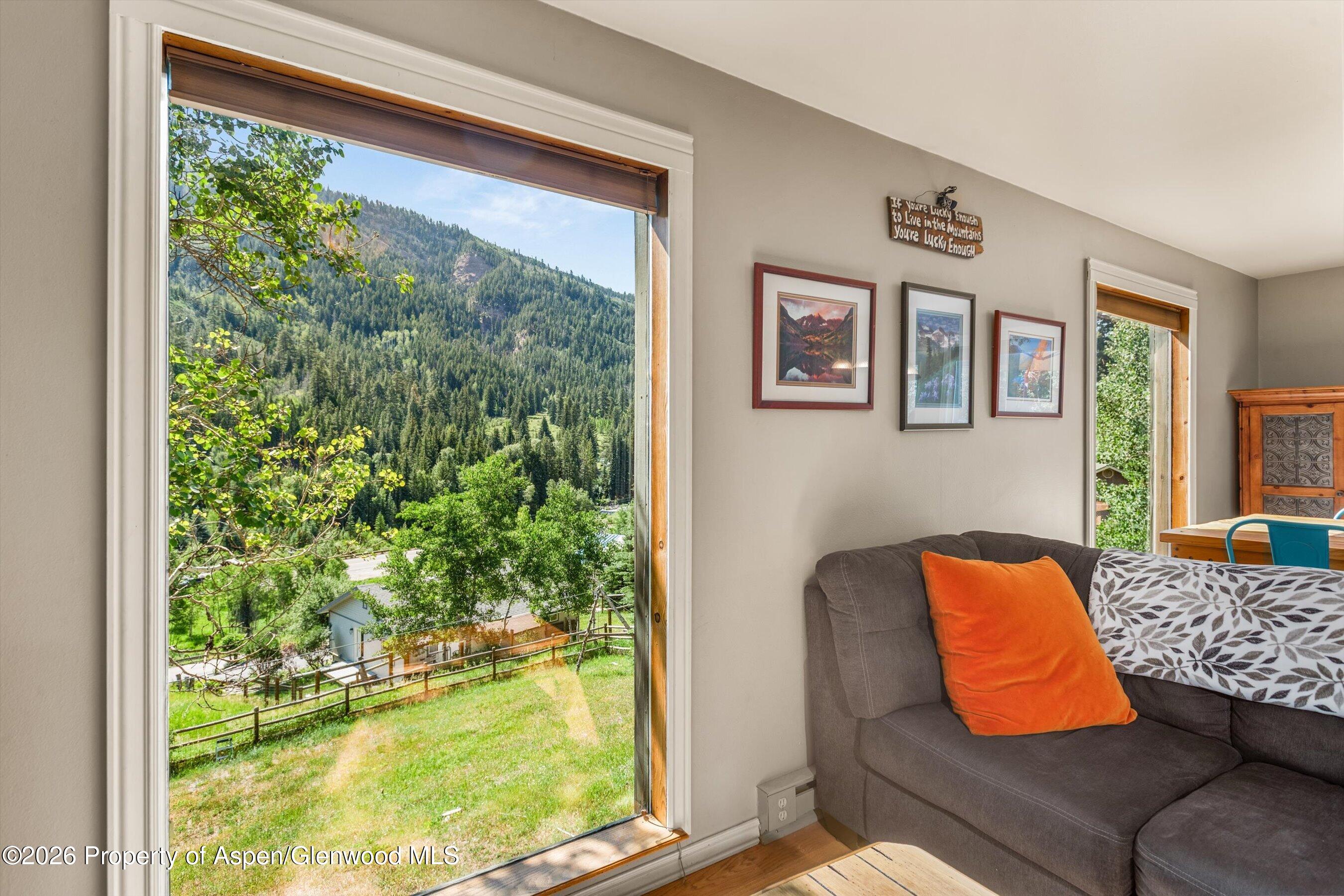 357 Elk Mountain Drive Redstone CO 81623