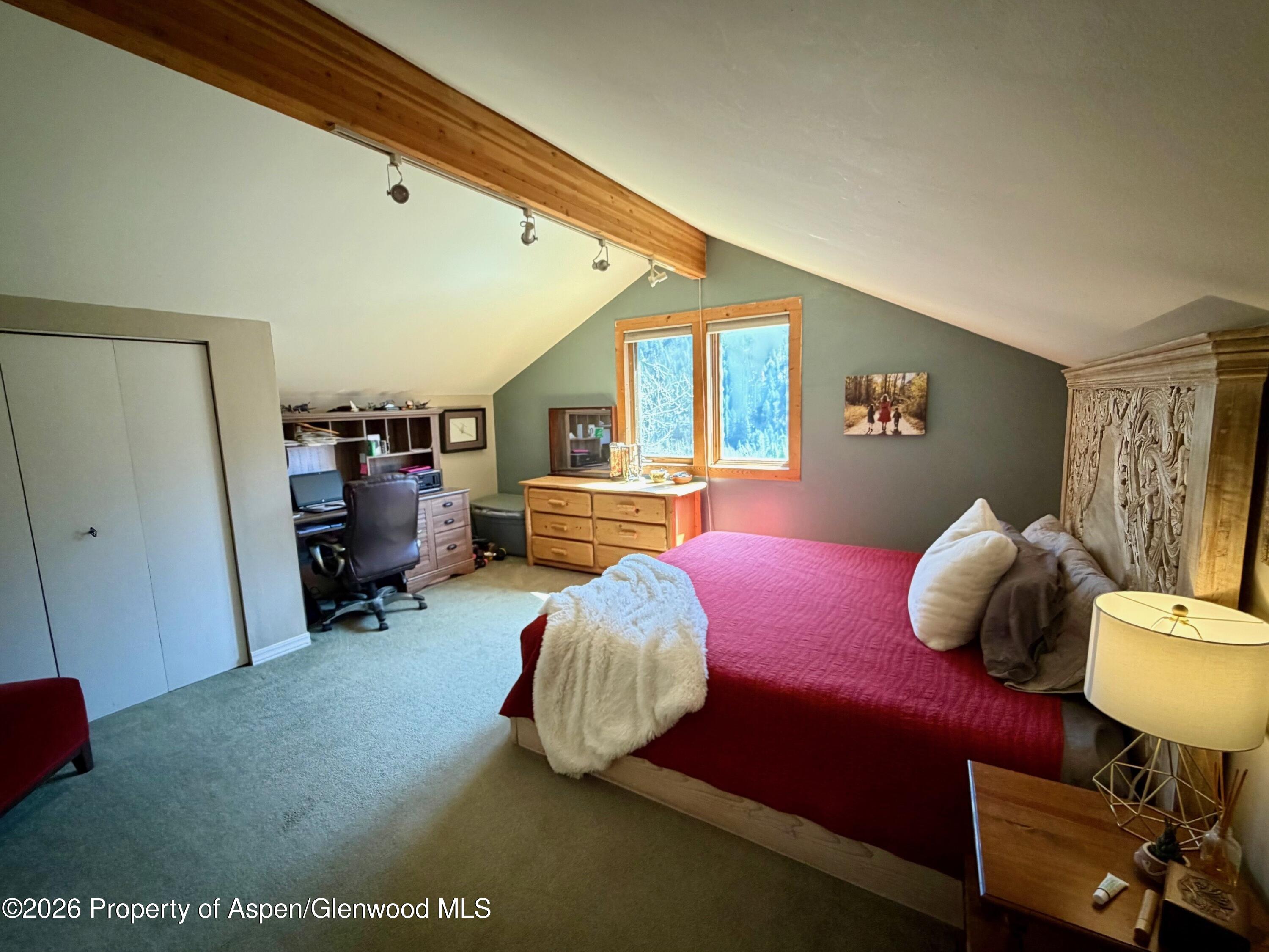 357 Elk Mountain Drive Redstone CO 81623