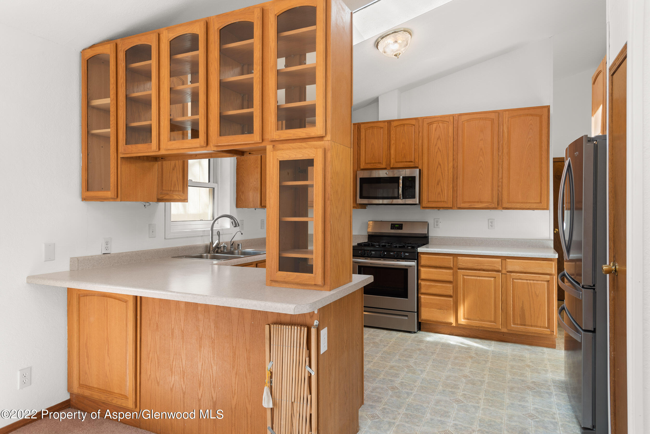 117 Coyote Circle Carbondale CO 81623