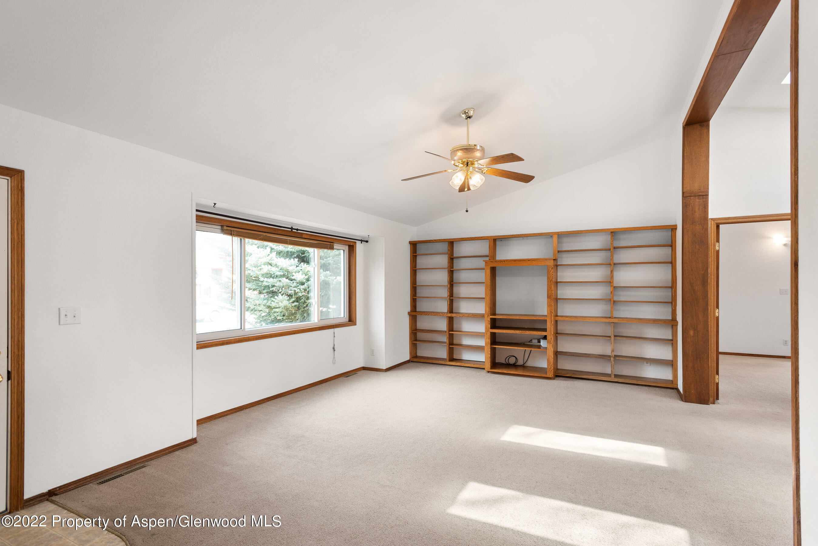 117 Coyote Circle Carbondale CO 81623