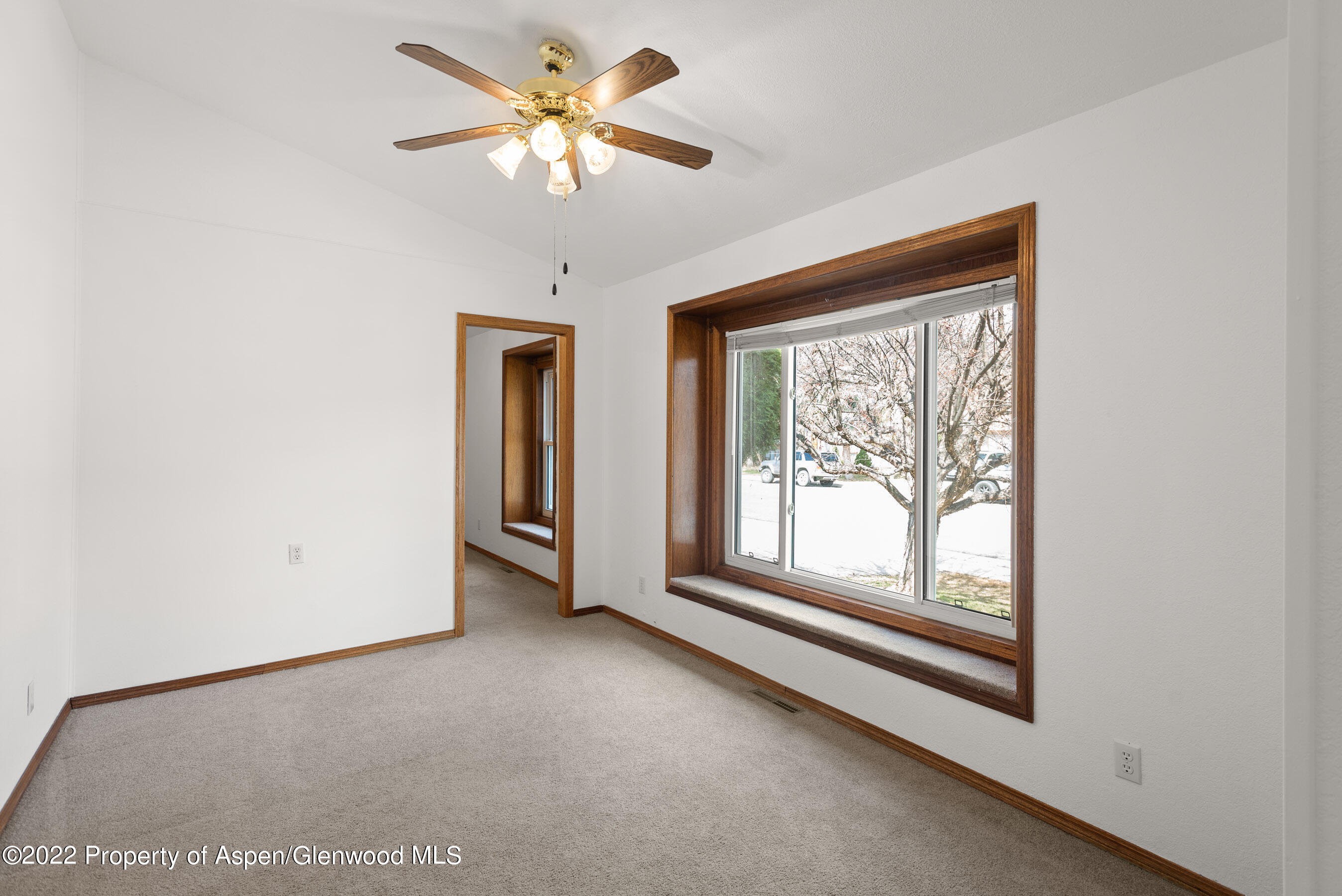 117 Coyote Circle Carbondale CO 81623