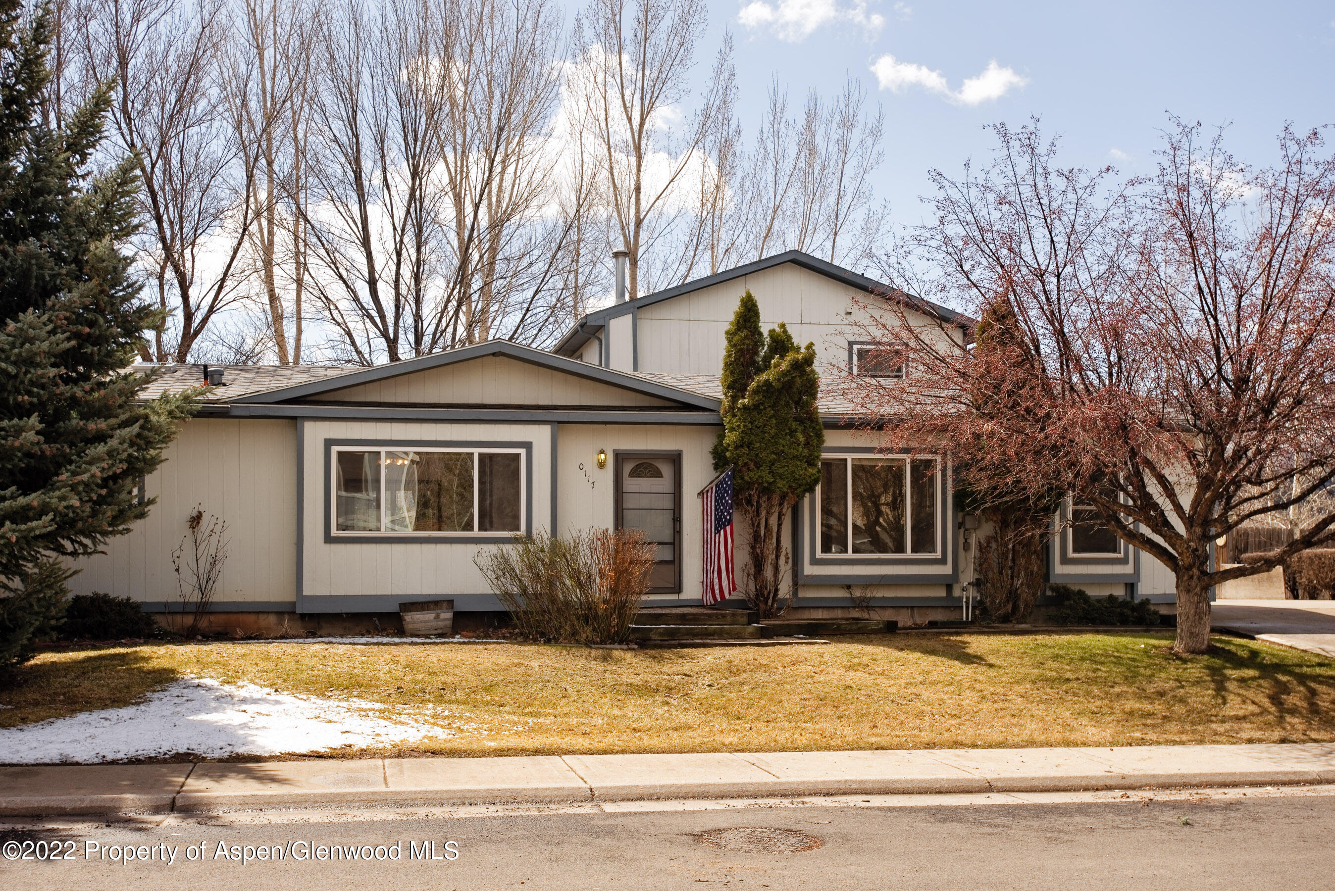 117 Coyote Circle Carbondale CO 81623
