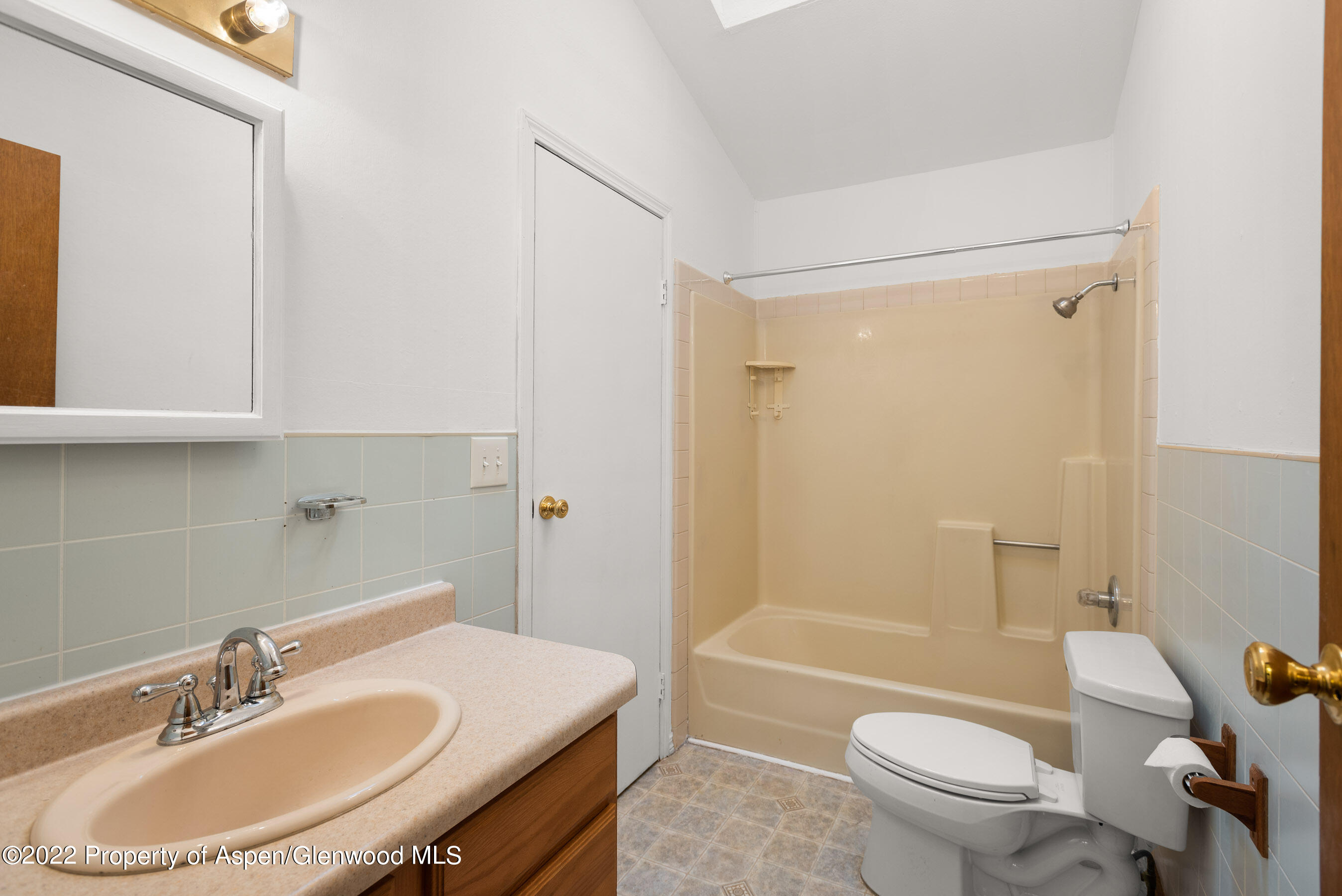 117 Coyote Circle Carbondale CO 81623