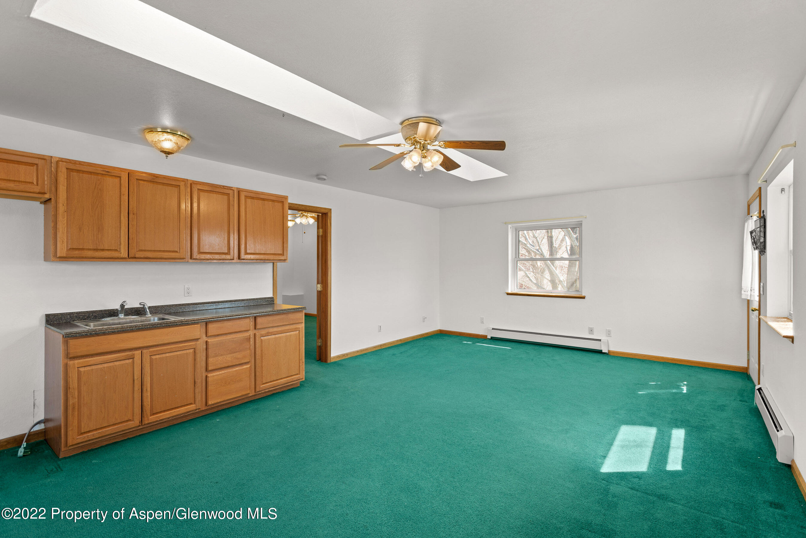 117 Coyote Circle Carbondale CO 81623