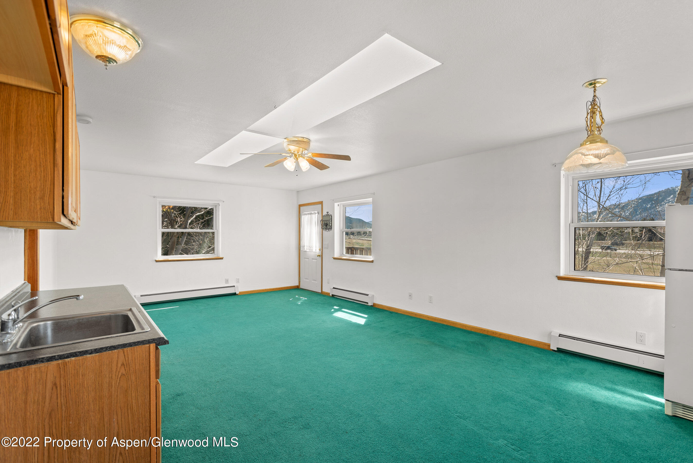 117 Coyote Circle Carbondale CO 81623