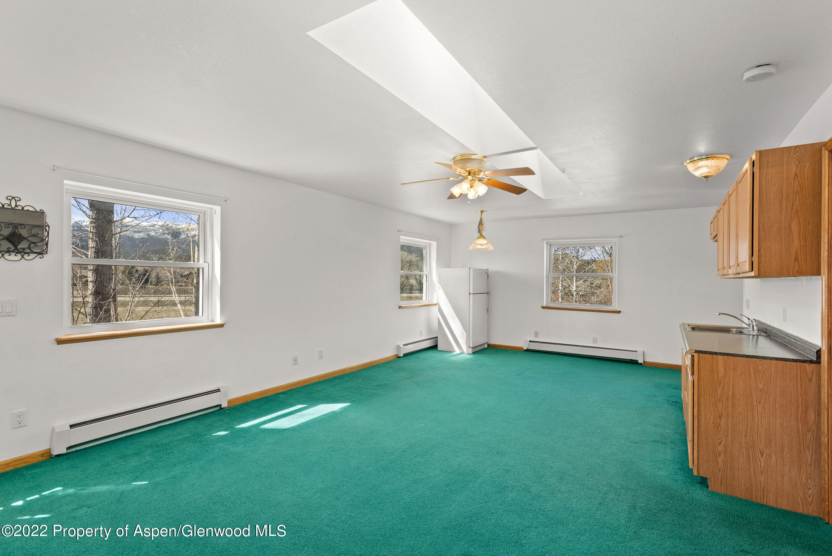 117 Coyote Circle Carbondale CO 81623