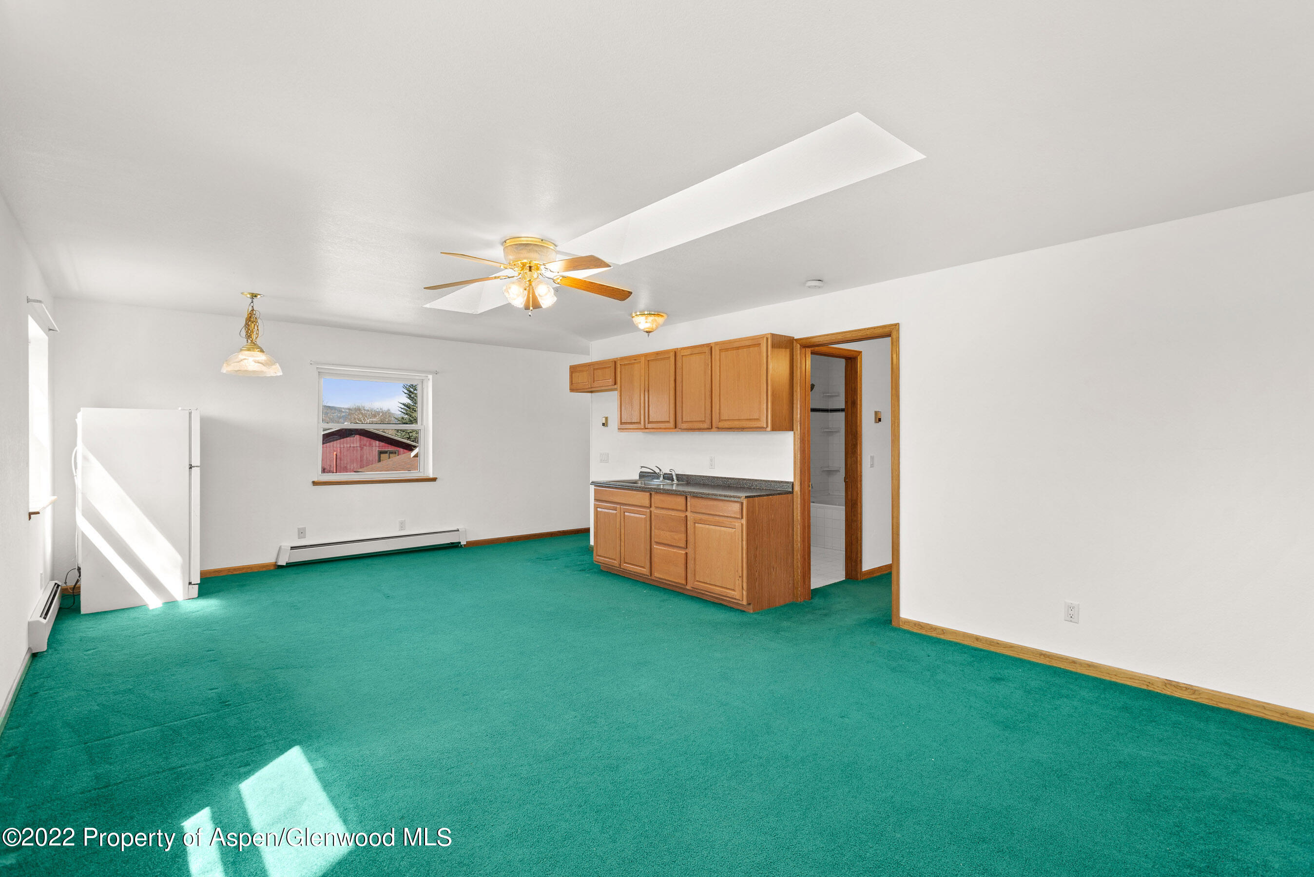 117 Coyote Circle Carbondale CO 81623