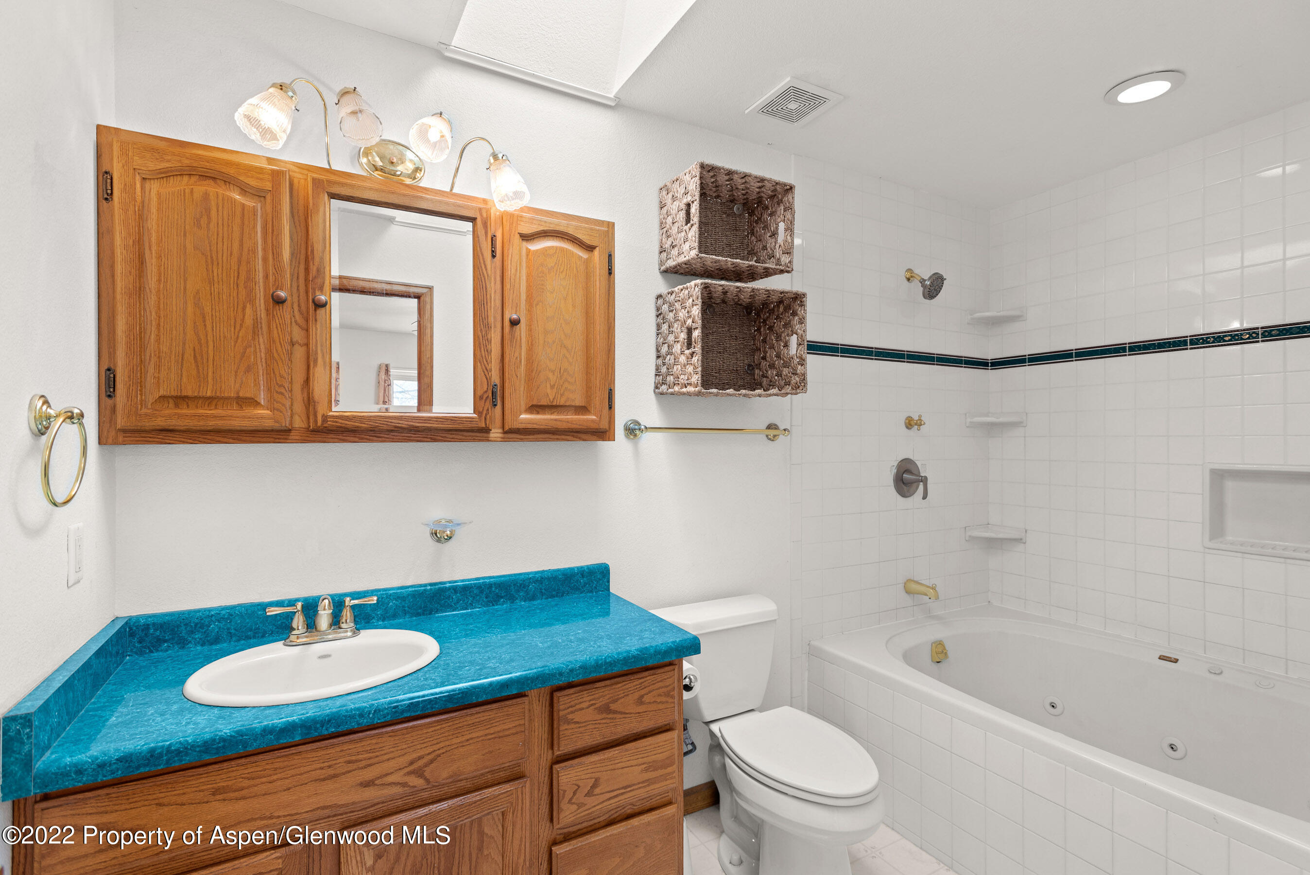 117 Coyote Circle Carbondale CO 81623