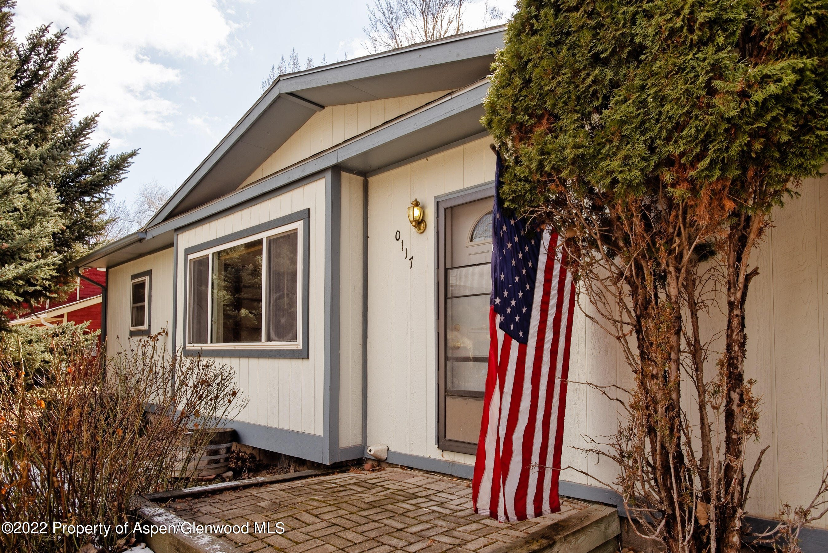 117 Coyote Circle Carbondale CO 81623