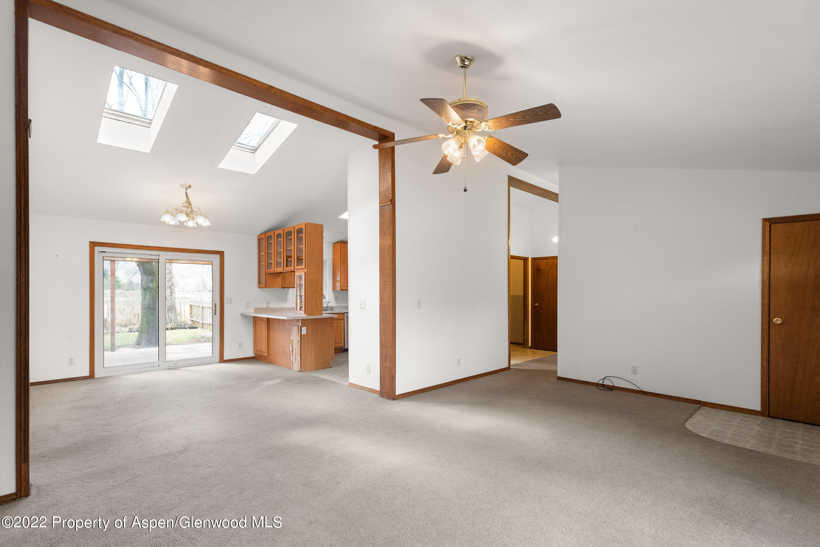 117 Coyote Circle Carbondale CO 81623