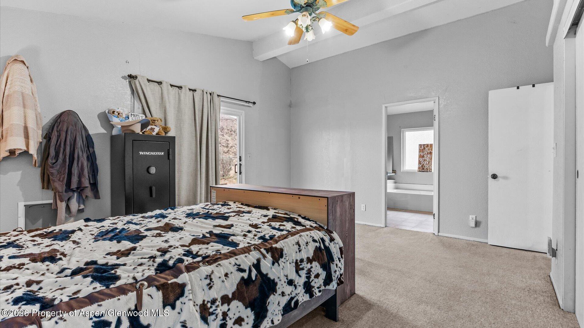 160 Mineota Drive Silt CO 81652