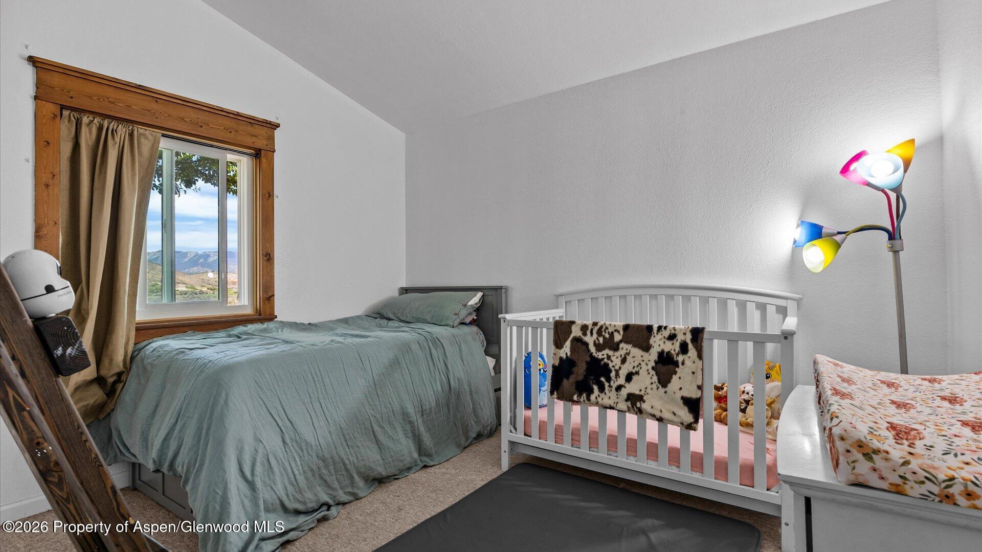 160 Mineota Drive Silt CO 81652