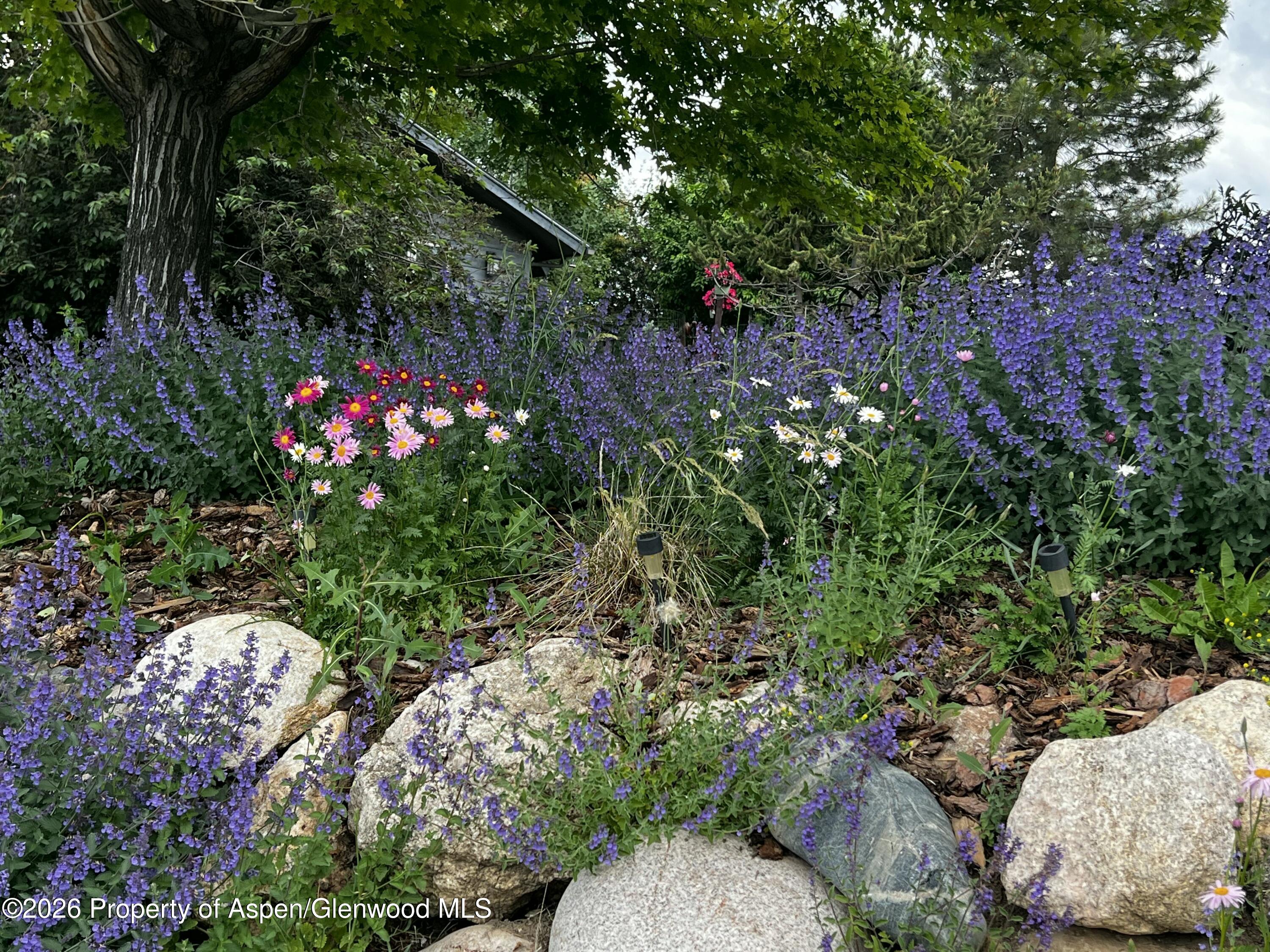 1040 Bryan Way Craig CO 81625