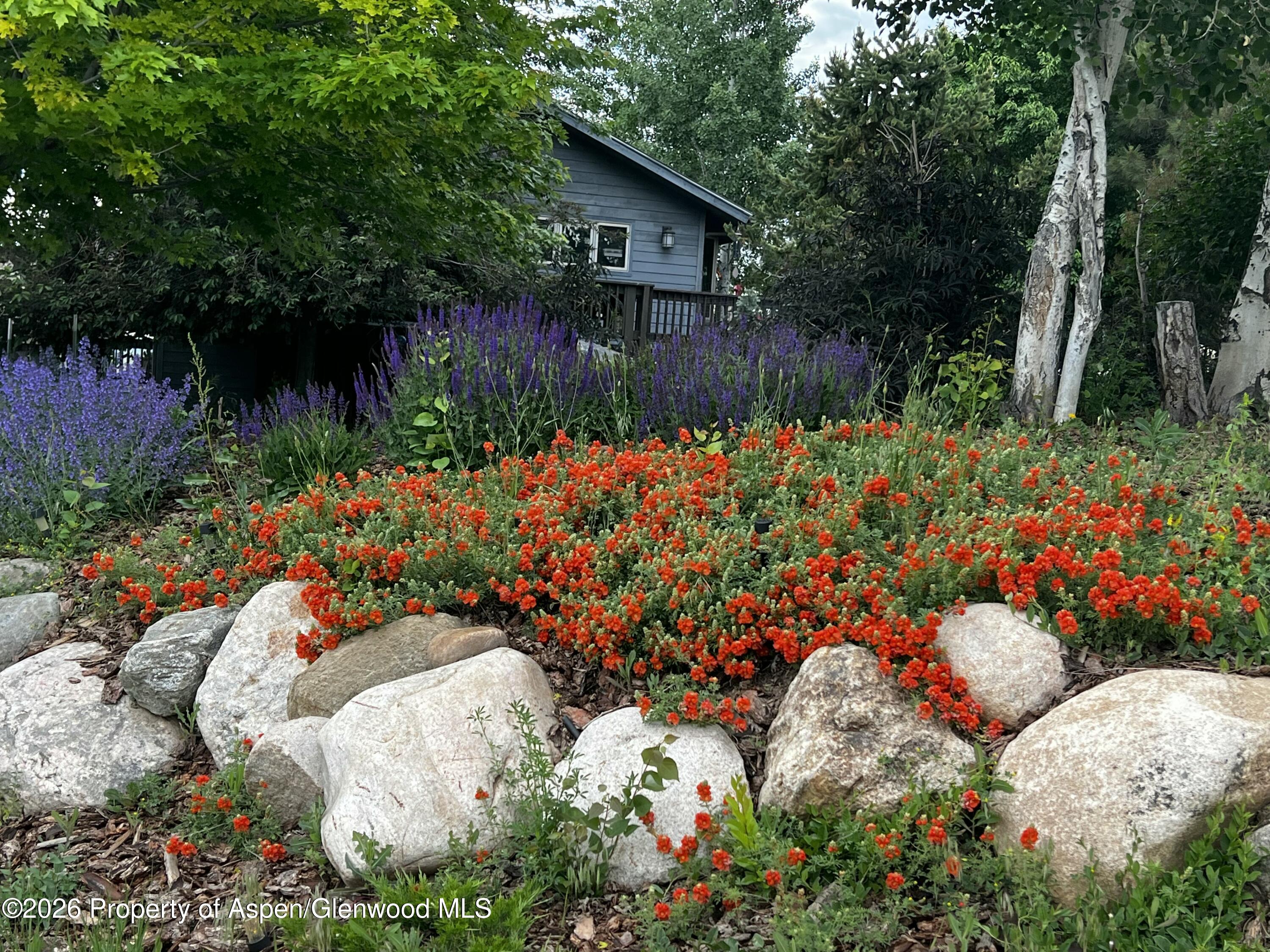 1040 Bryan Way Craig CO 81625