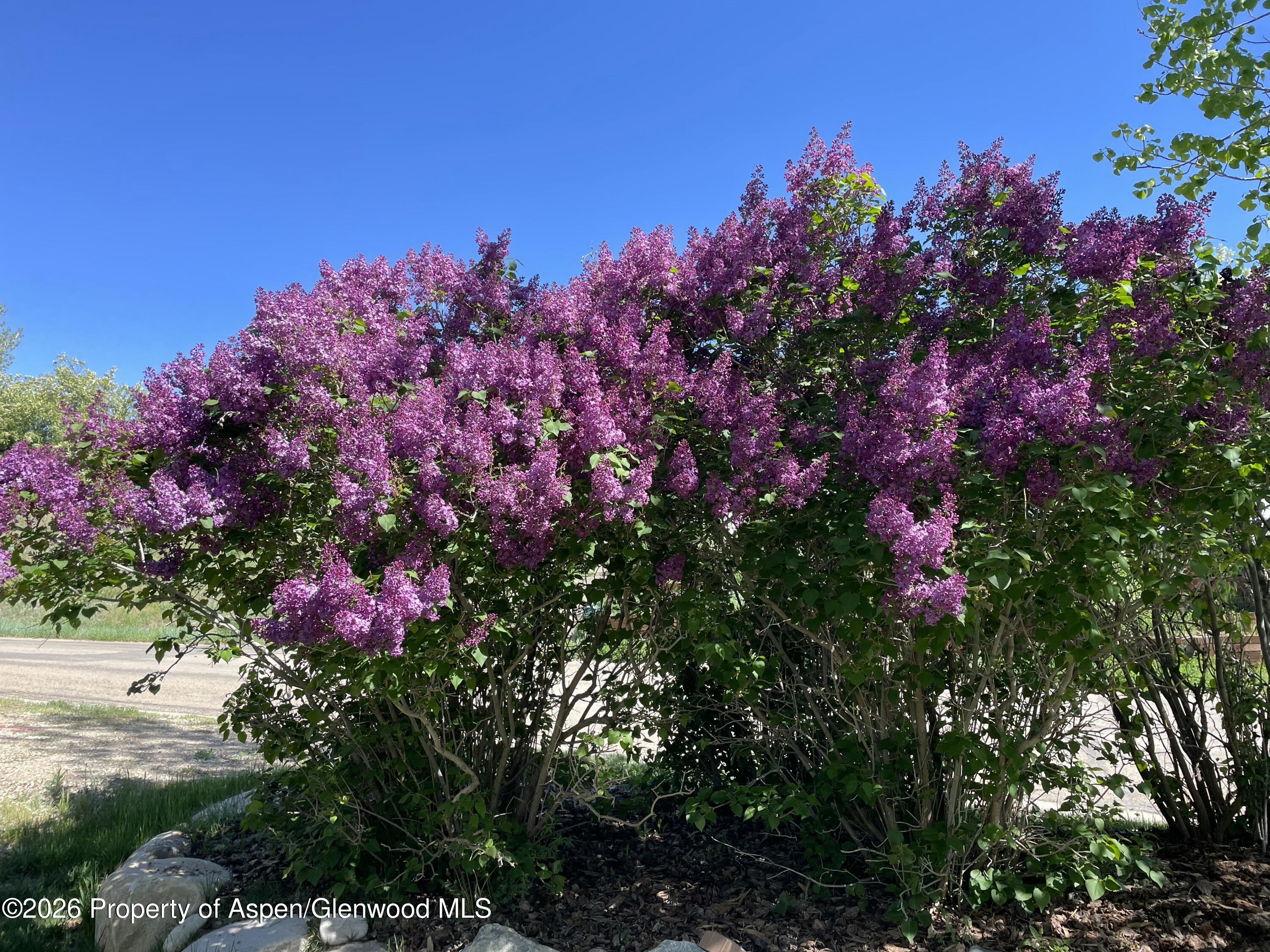 1040 Bryan Way Craig CO 81625