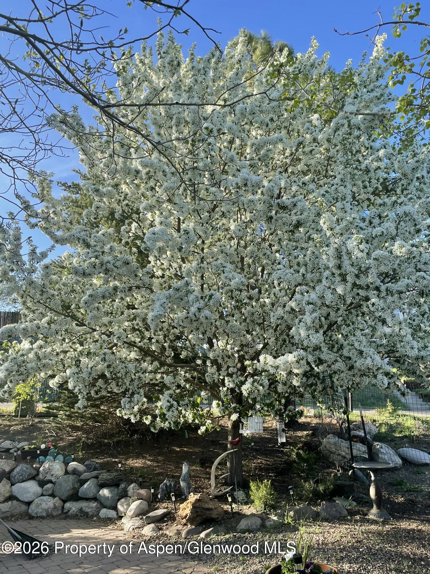 1040 Bryan Way Craig CO 81625