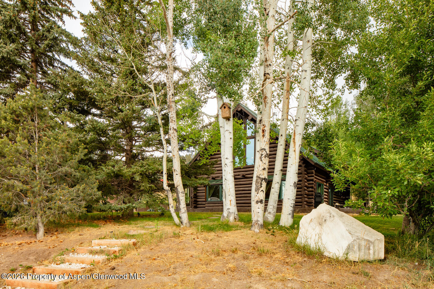 50 Alexander Avenue Snowmass CO 81654