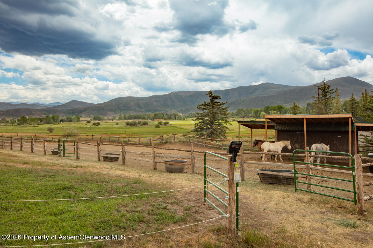 50 Alexander Avenue Snowmass CO 81654