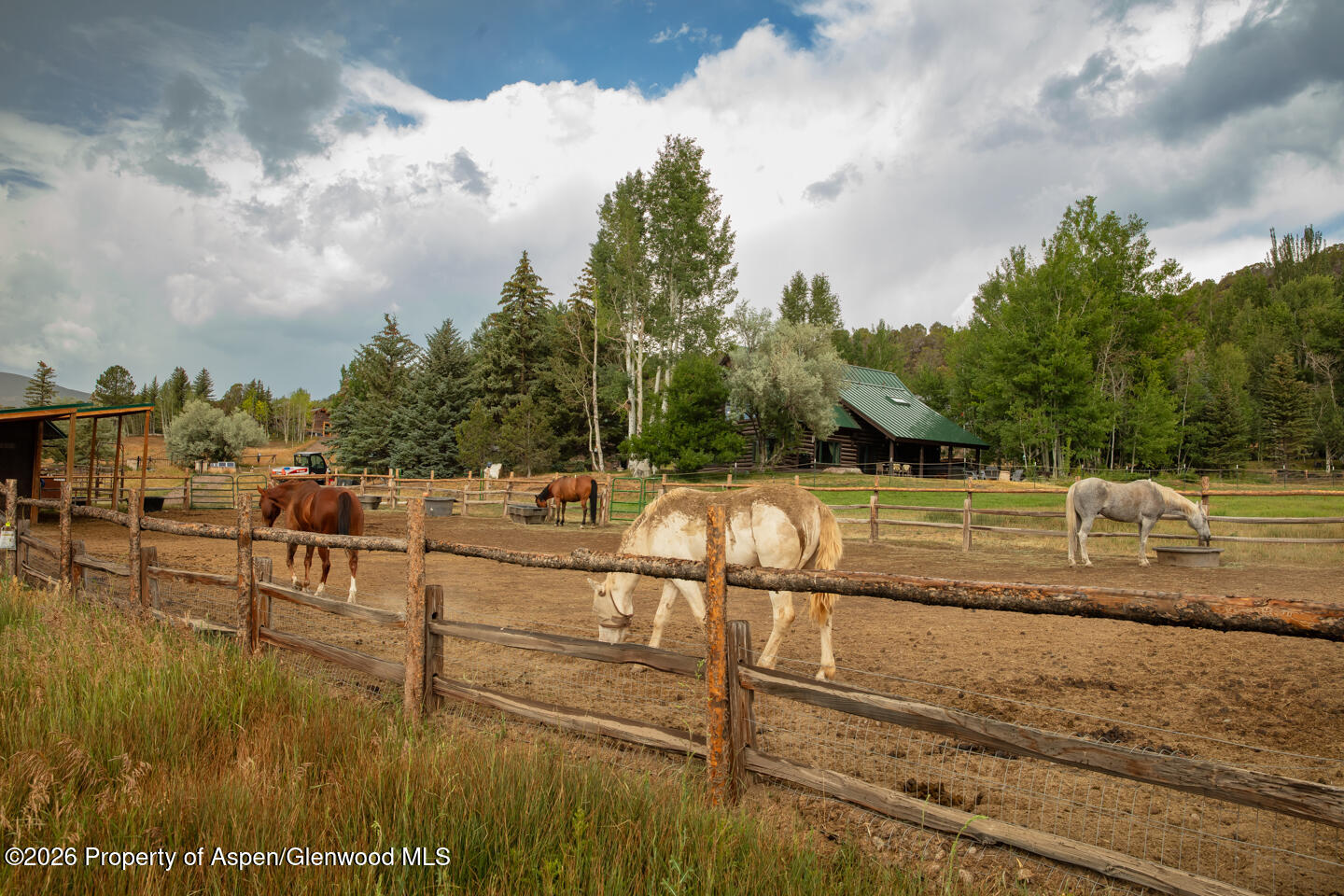 50 Alexander Avenue Snowmass CO 81654