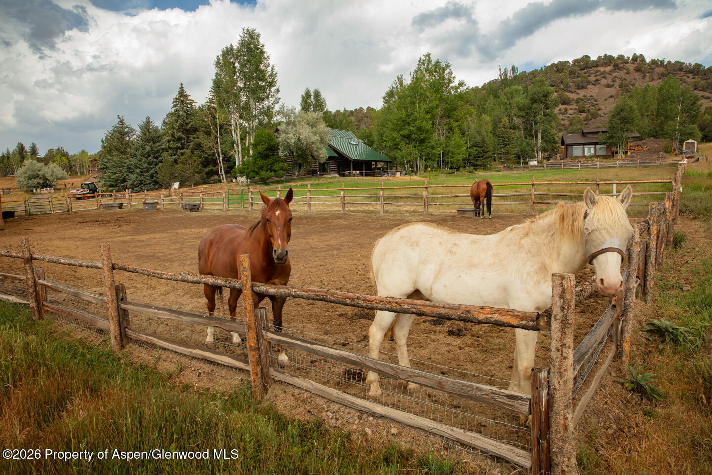 50 Alexander Avenue Snowmass CO 81654