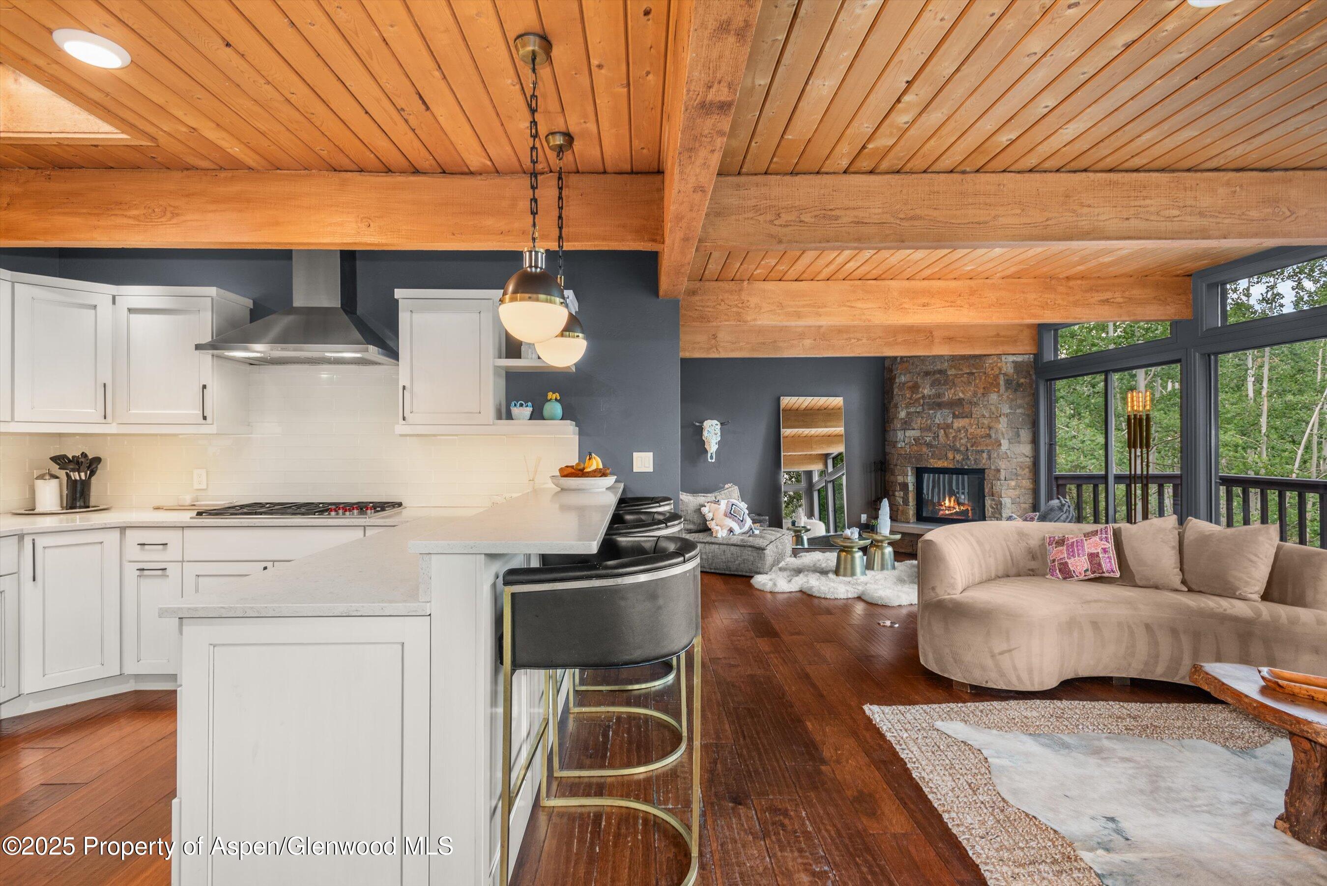 49 Elk Ridge Lane Snowmass Village CO 81615