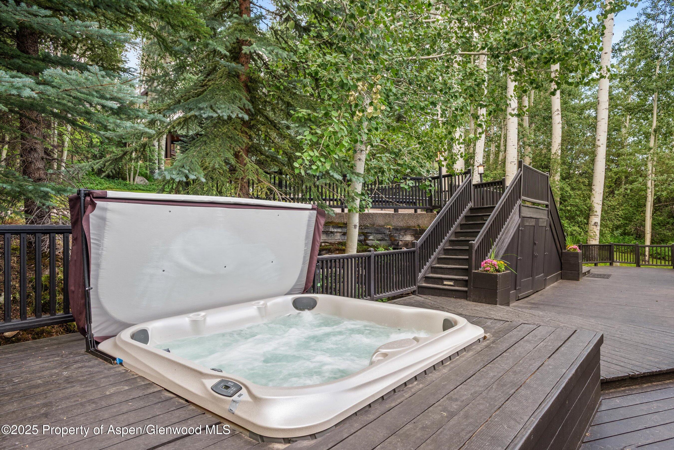 49 Elk Ridge Lane Snowmass Village CO 81615