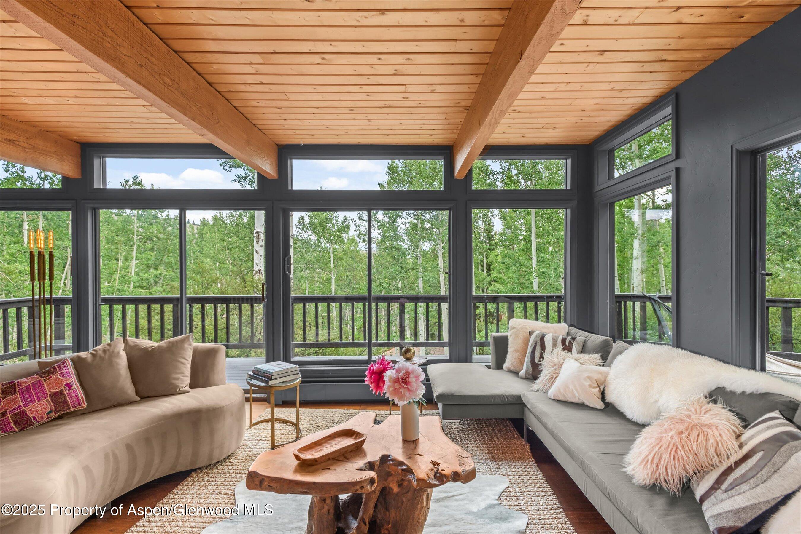 49 Elk Ridge Lane Snowmass Village CO 81615