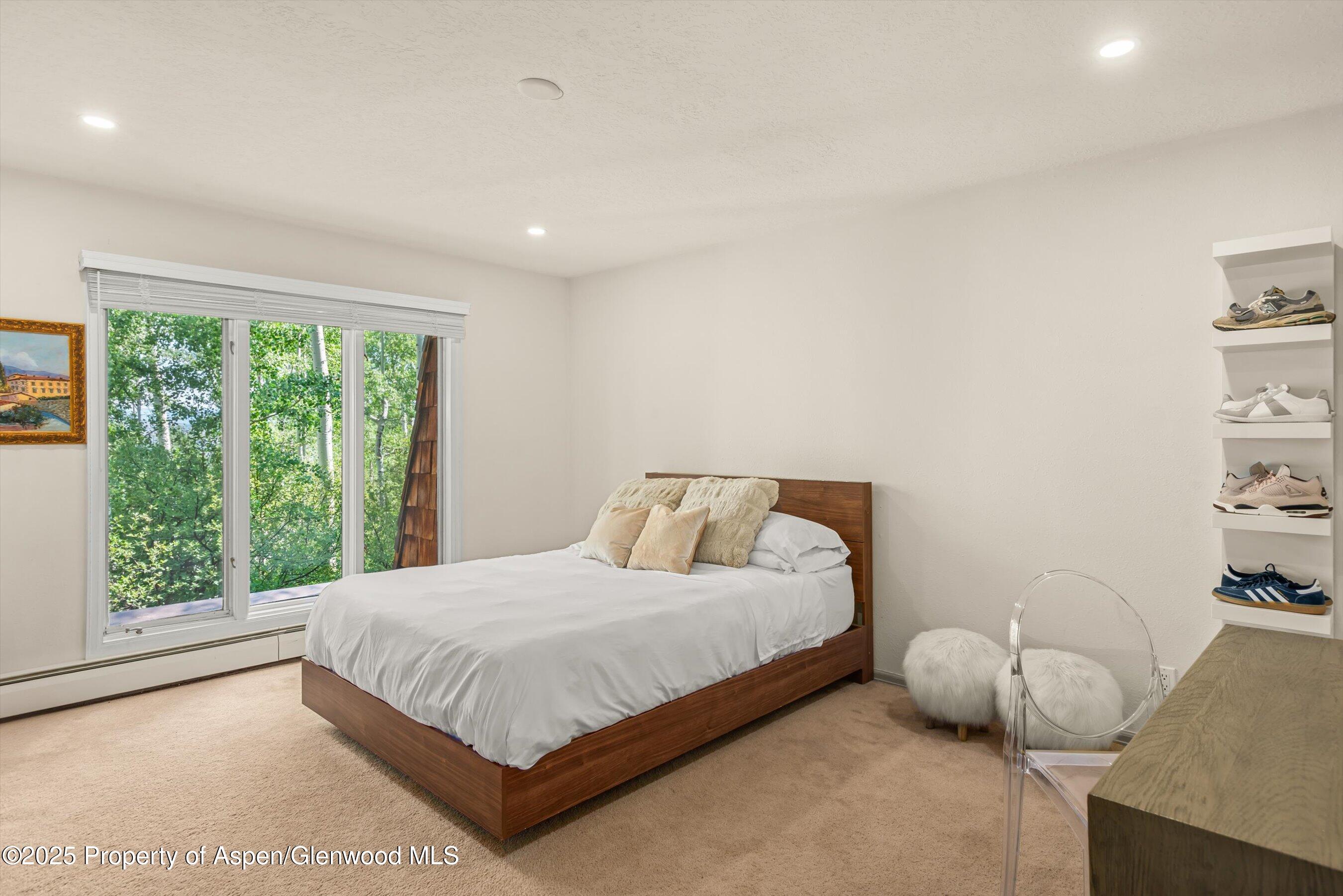 49 Elk Ridge Lane Snowmass Village CO 81615