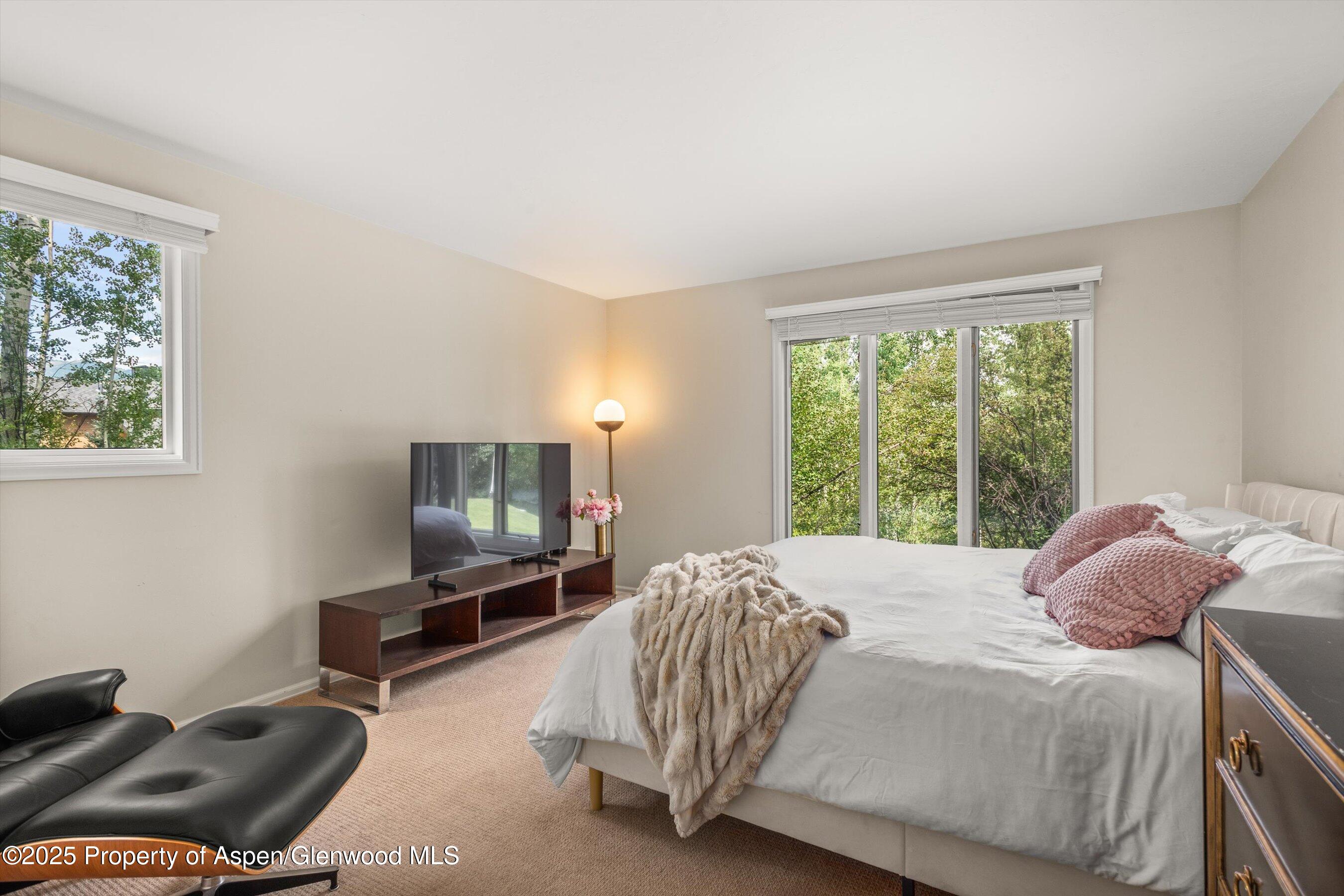 49 Elk Ridge Lane Snowmass Village CO 81615