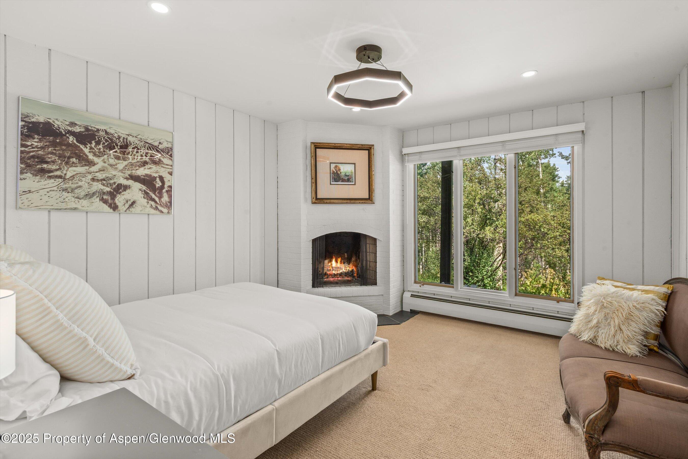 49 Elk Ridge Lane Snowmass Village CO 81615