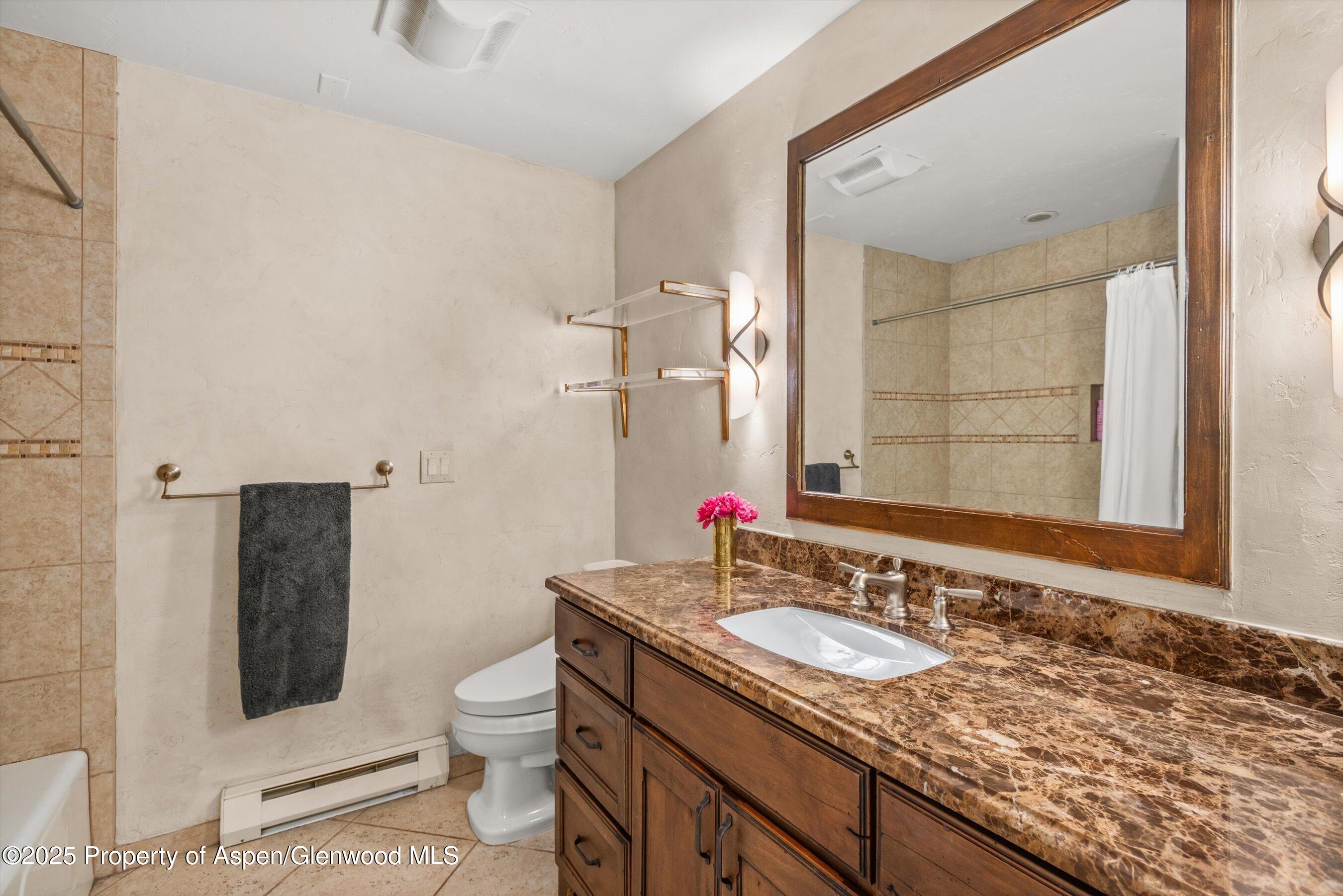 49 Elk Ridge Lane Snowmass Village CO 81615