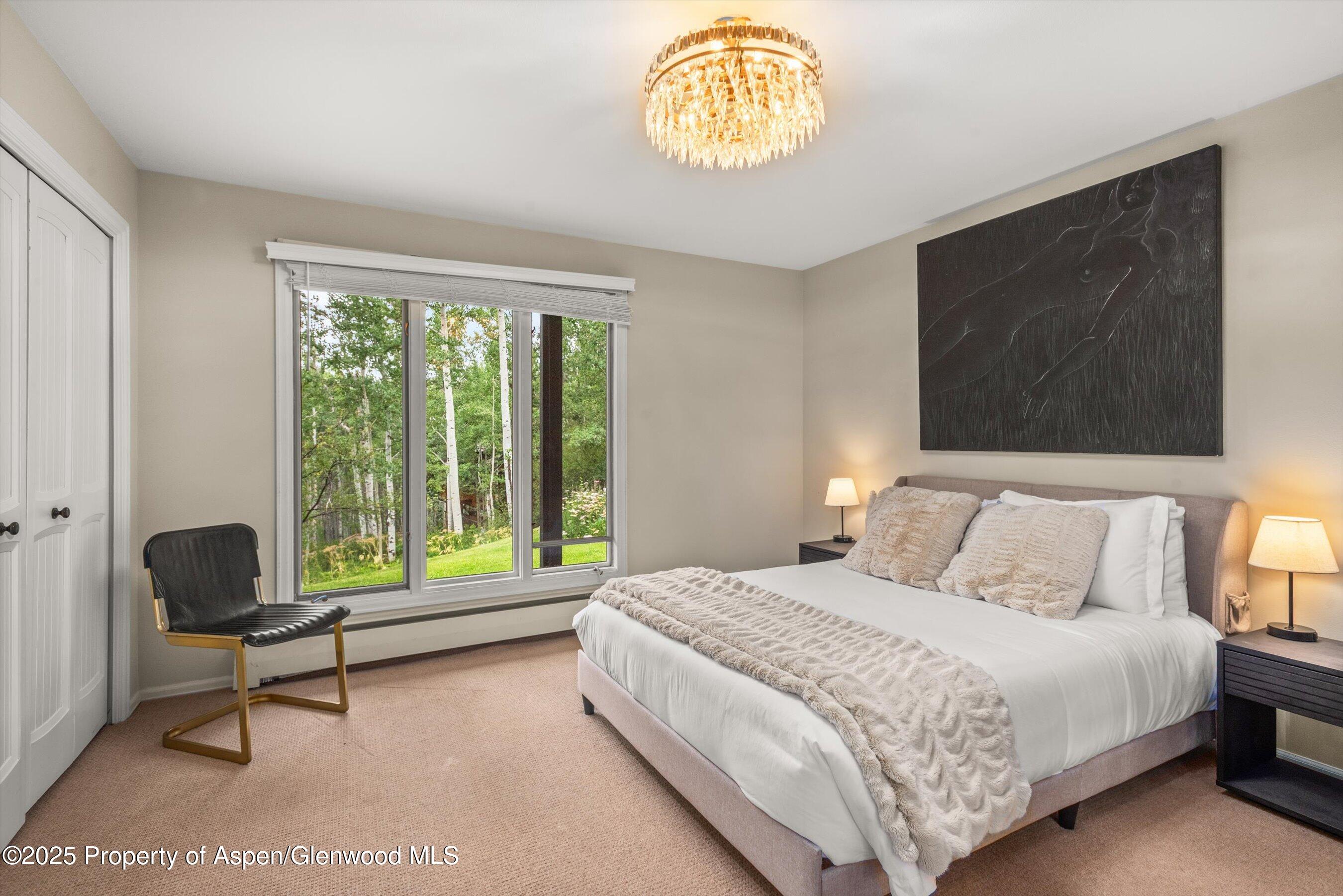 49 Elk Ridge Lane Snowmass Village CO 81615