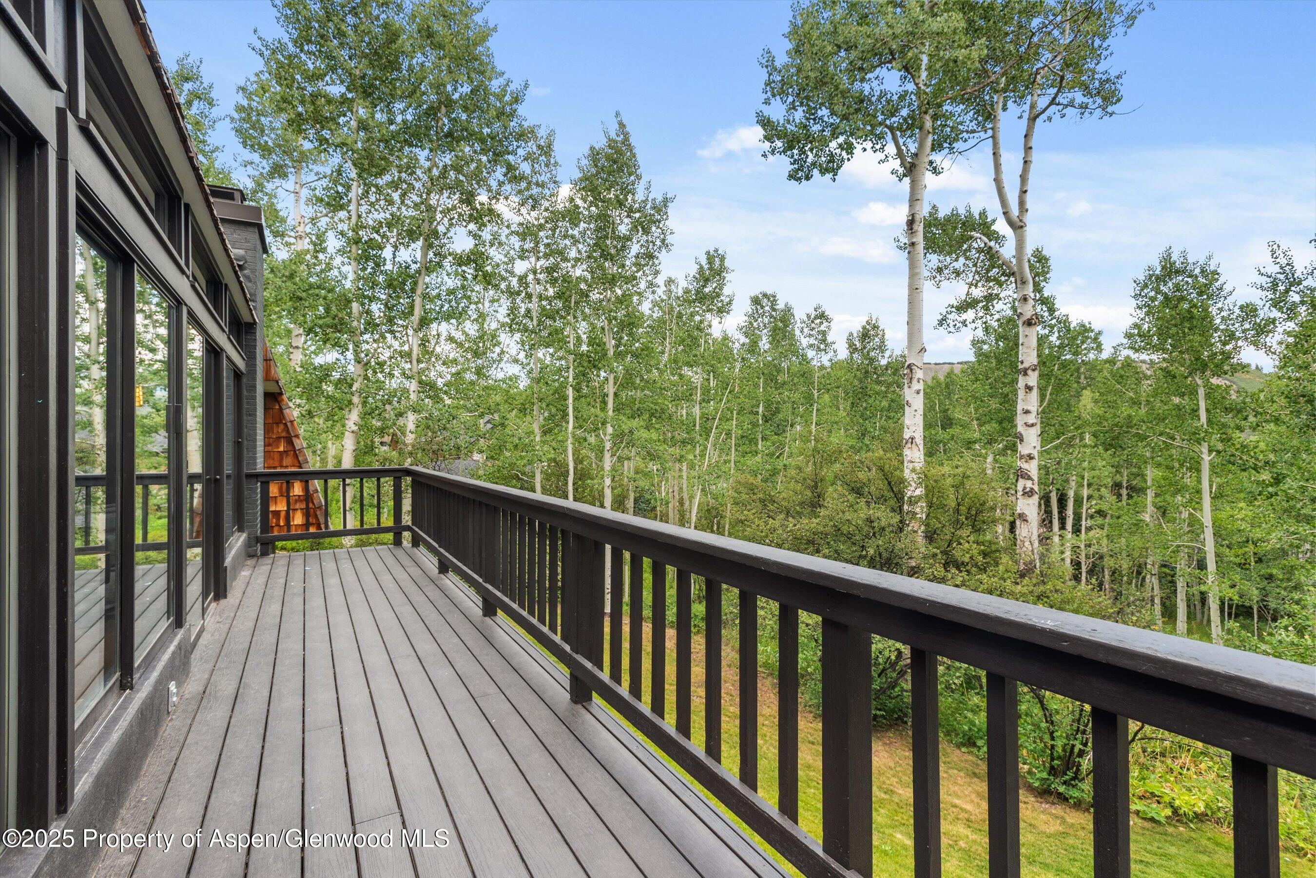 49 Elk Ridge Lane Snowmass Village CO 81615