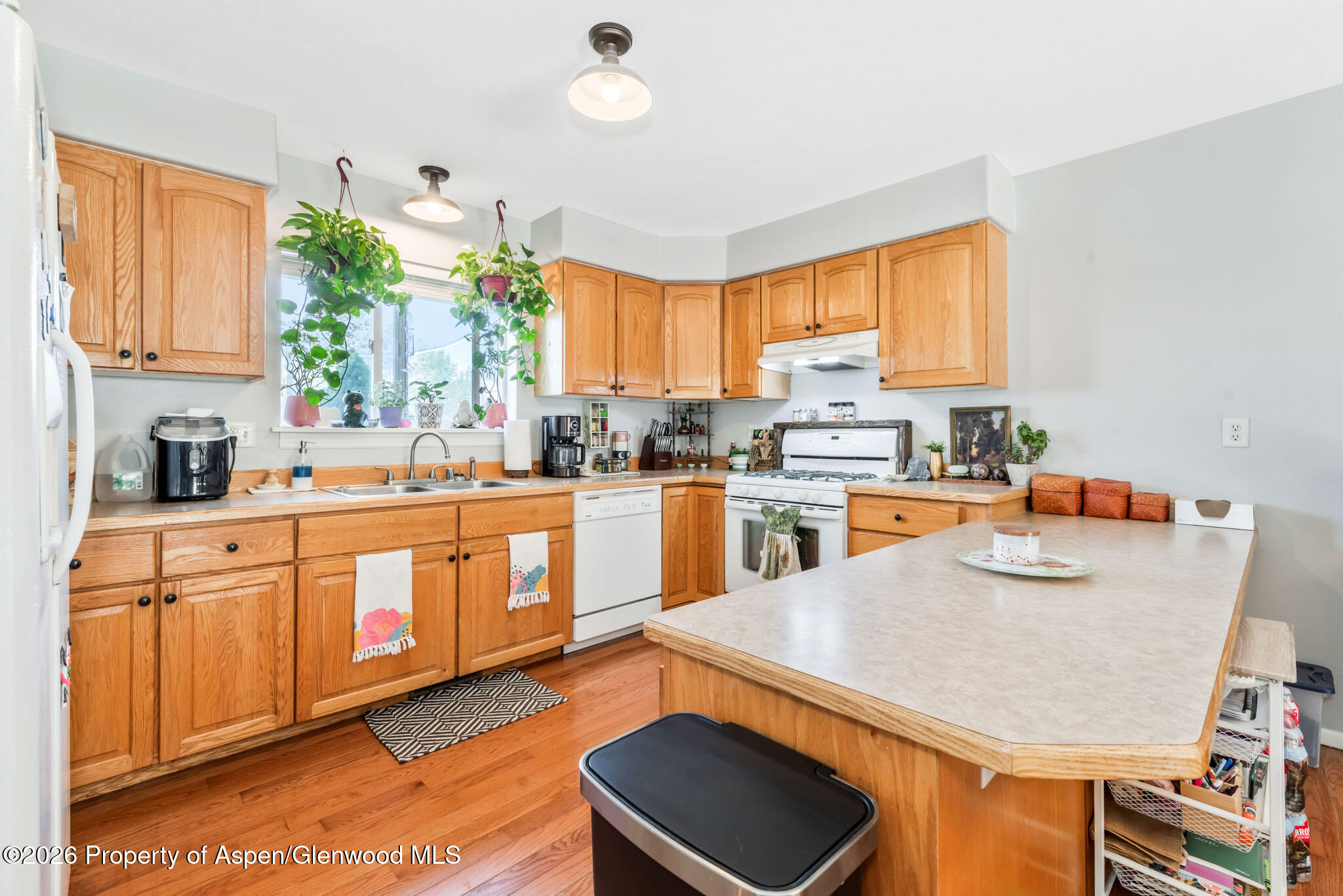 1139 Wilson Circle Craig CO 81625