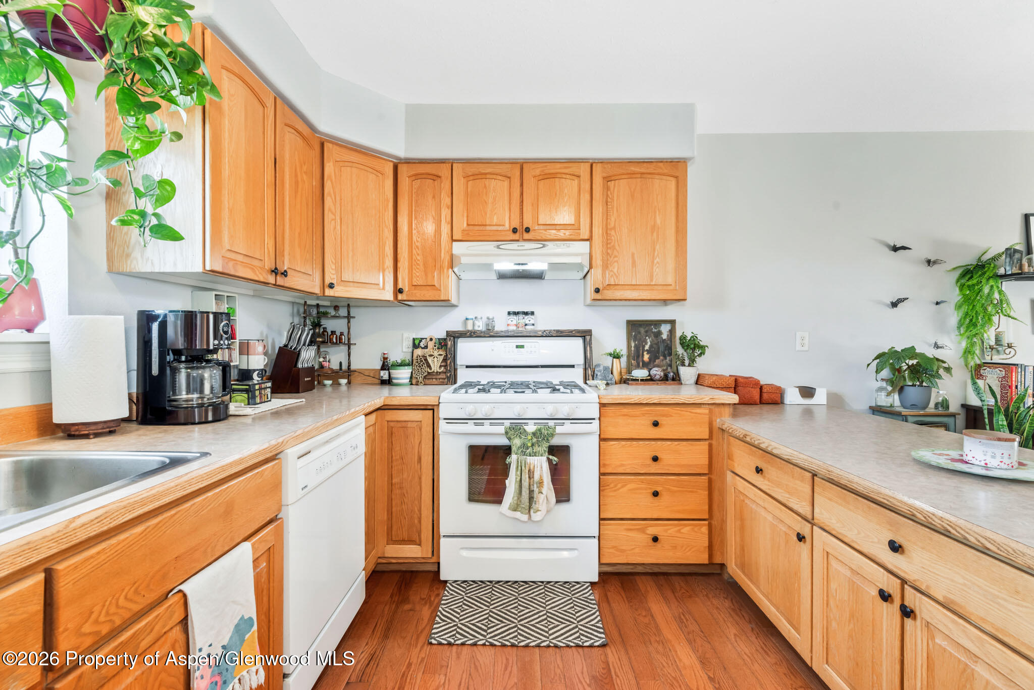 1139 Wilson Circle Craig CO 81625