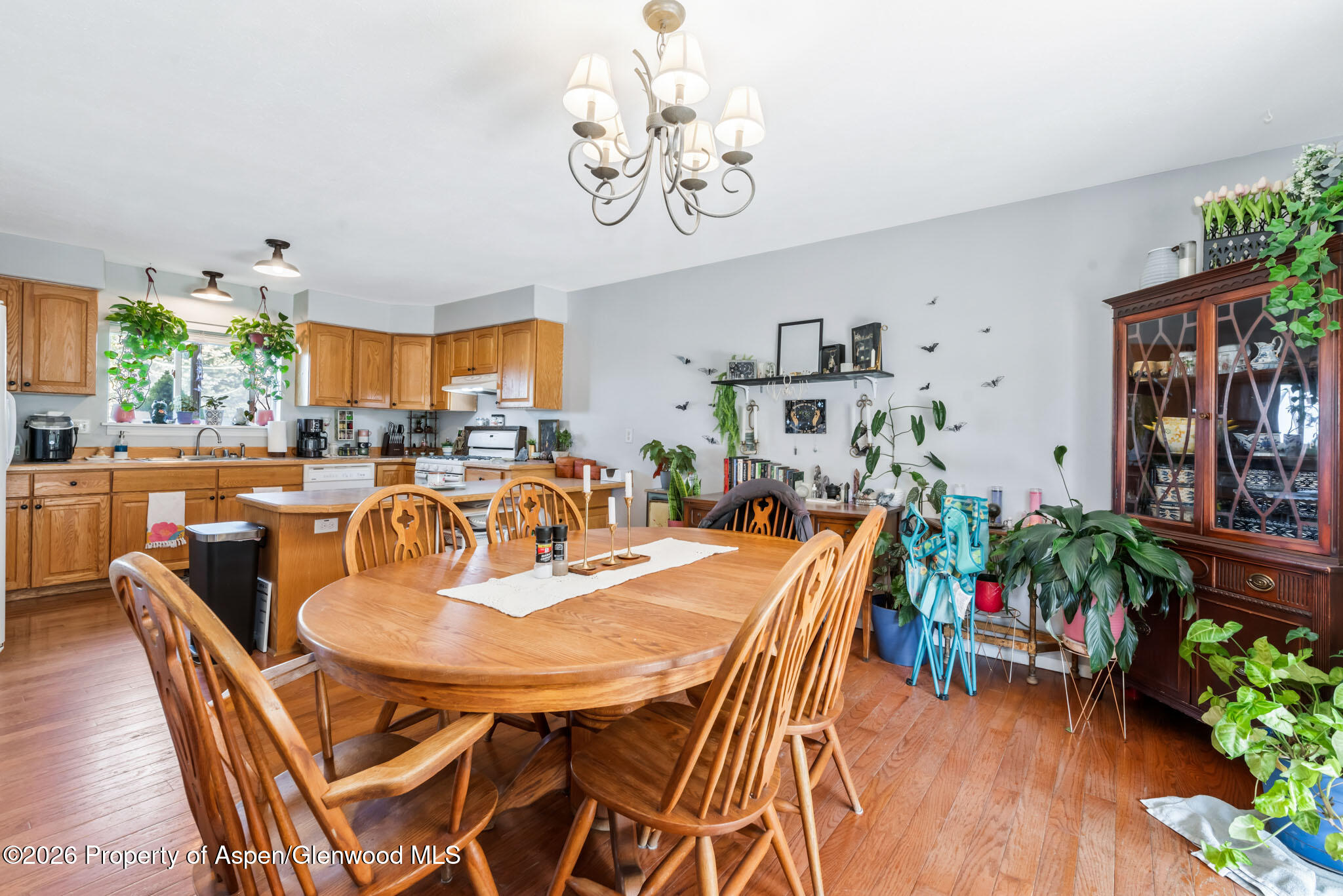 1139 Wilson Circle Craig CO 81625